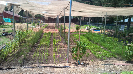 2022-Projects-and-Operational-Upgrades Braga Farms