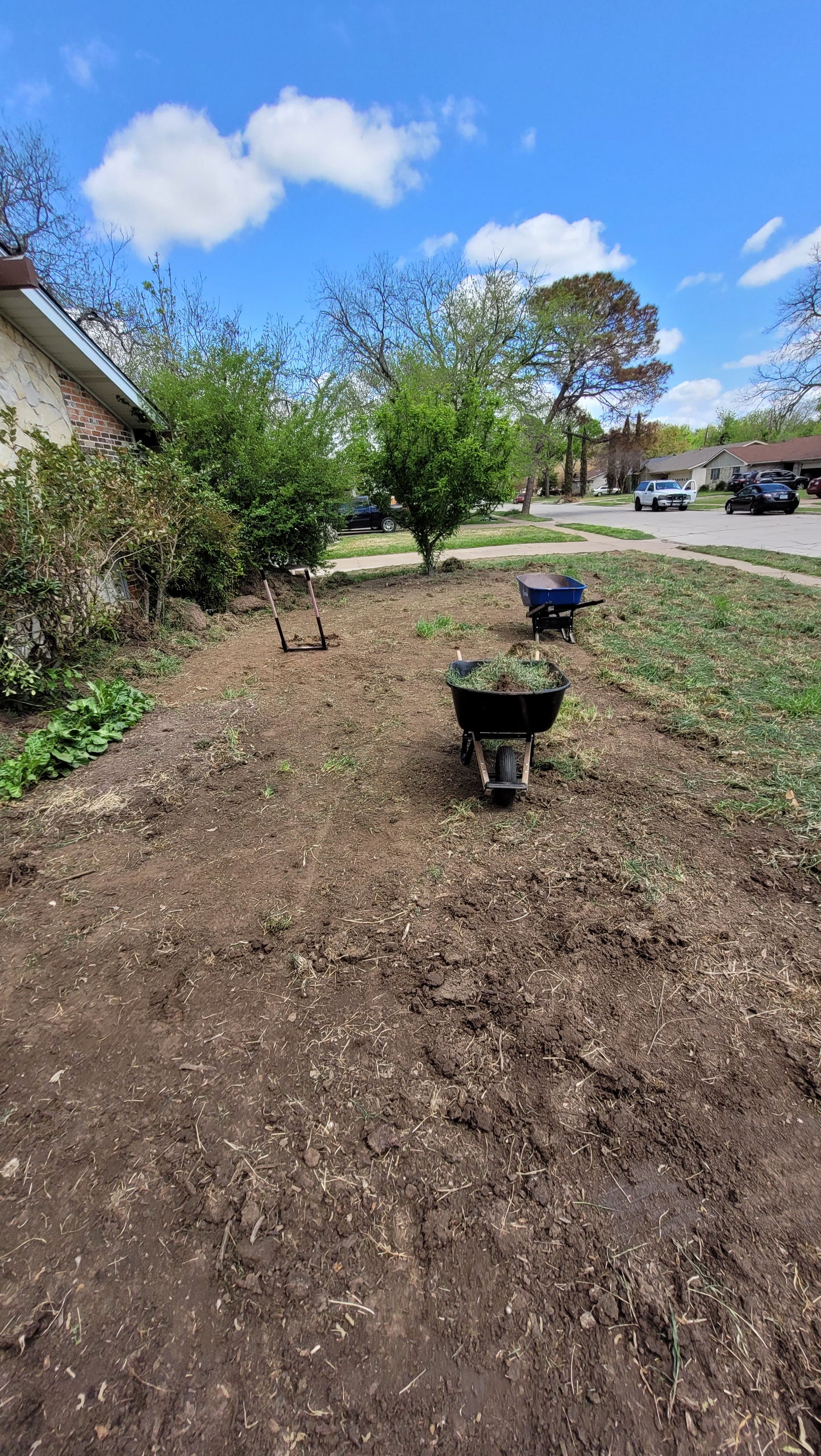Workshops Wednesday Workalongs | Braga Farms