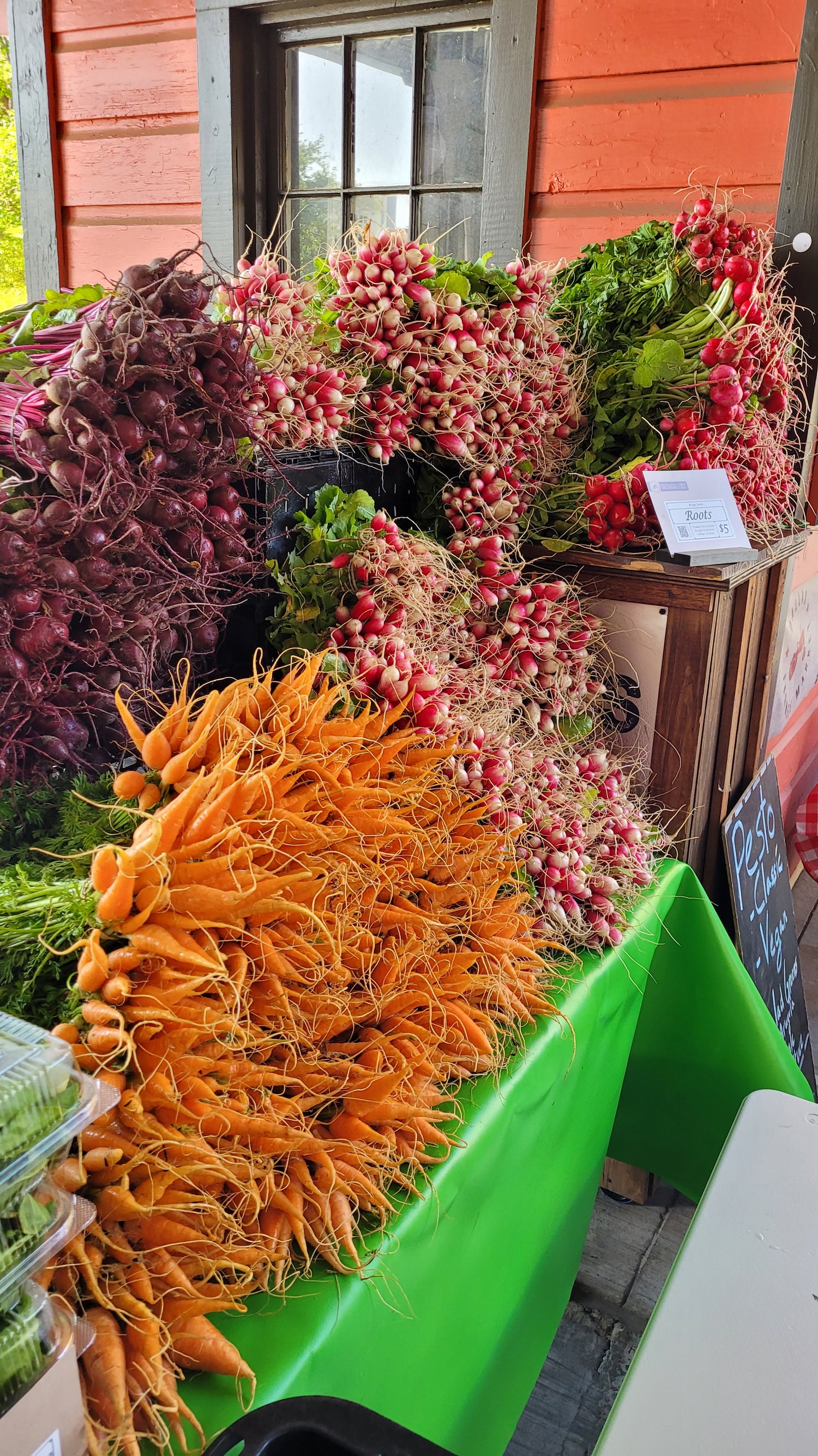 Workshops - Sunday - DFM Market Hours Braga Farms