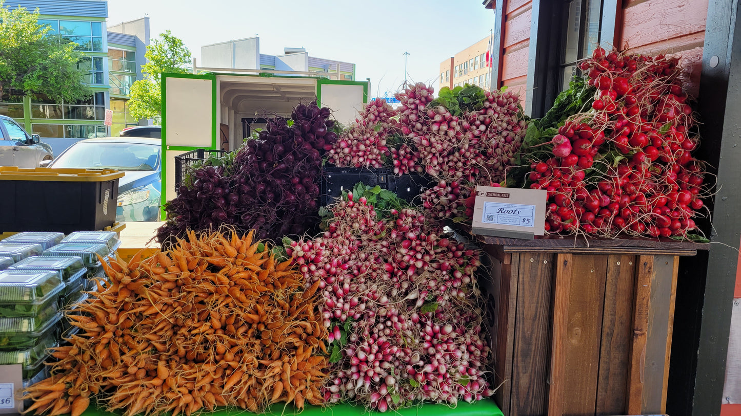 Workshops - Sunday - DFM Market Hours Braga Farms