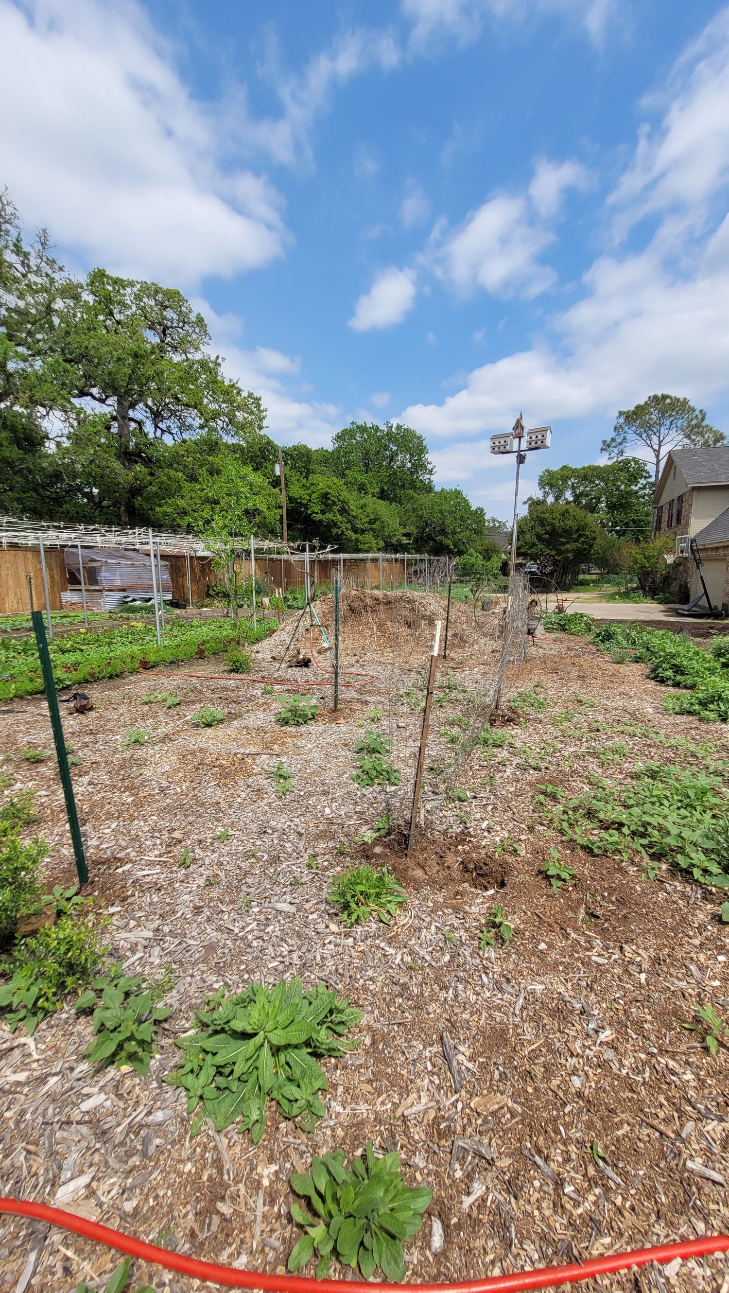 Workshops Wednesday Workalongs | Braga Farms