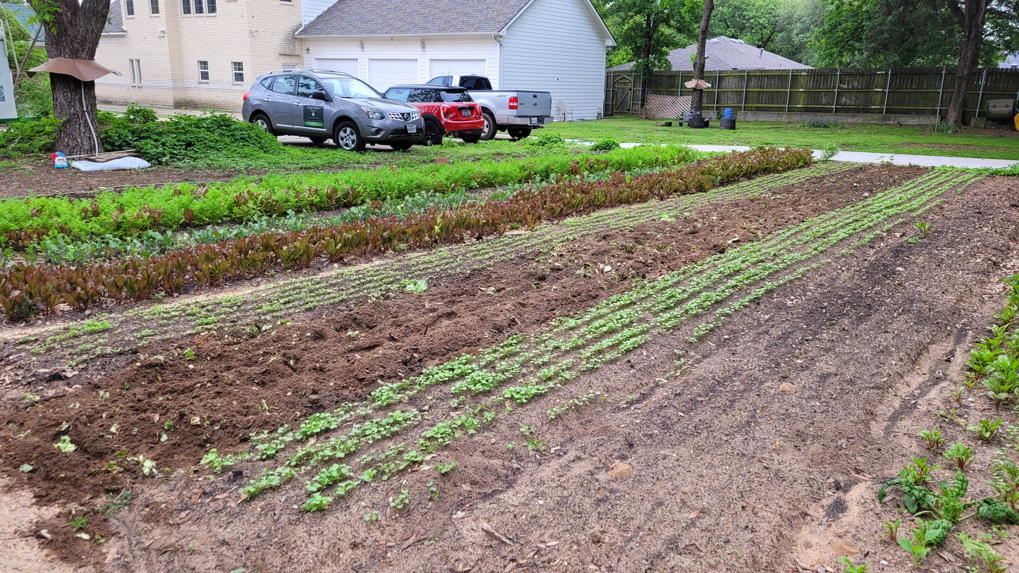 Workshops and Harvest Day | Thursday Workshops | Braga Farms