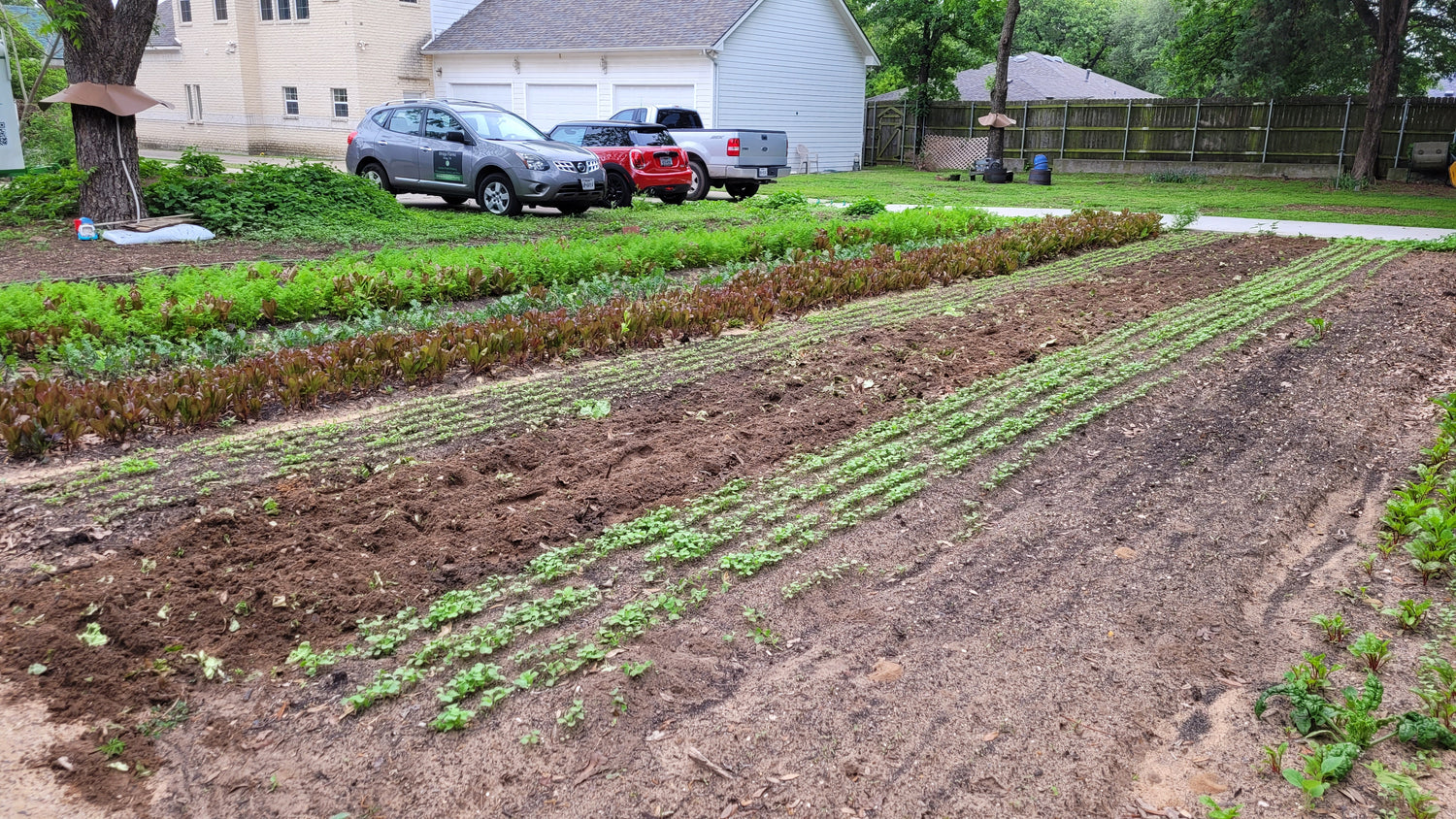 Workshops and Harvest Day | Thursday Workshops | Braga Farms