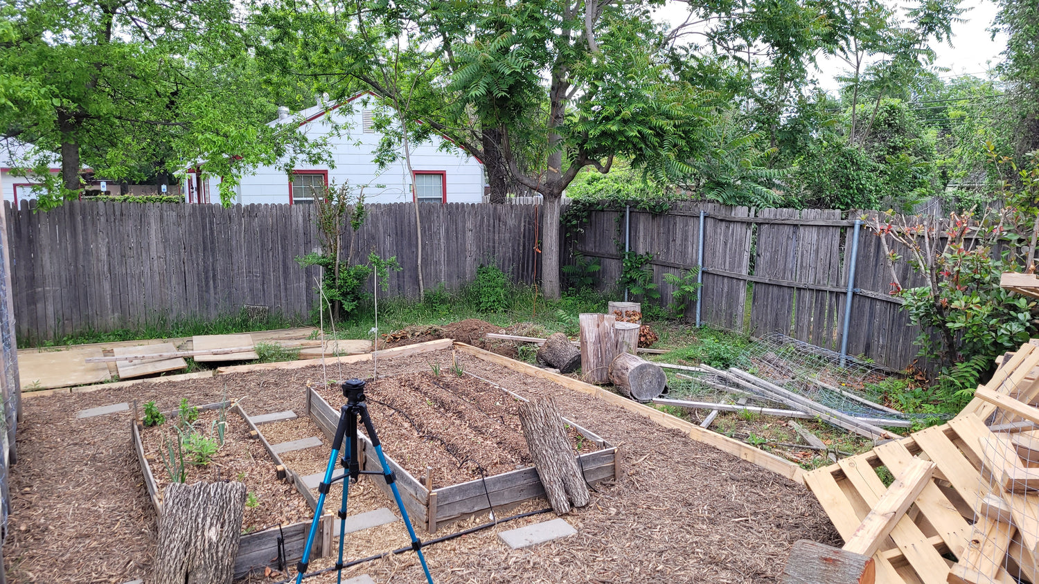 Workshops Wednesday Workalongs | Braga Farms