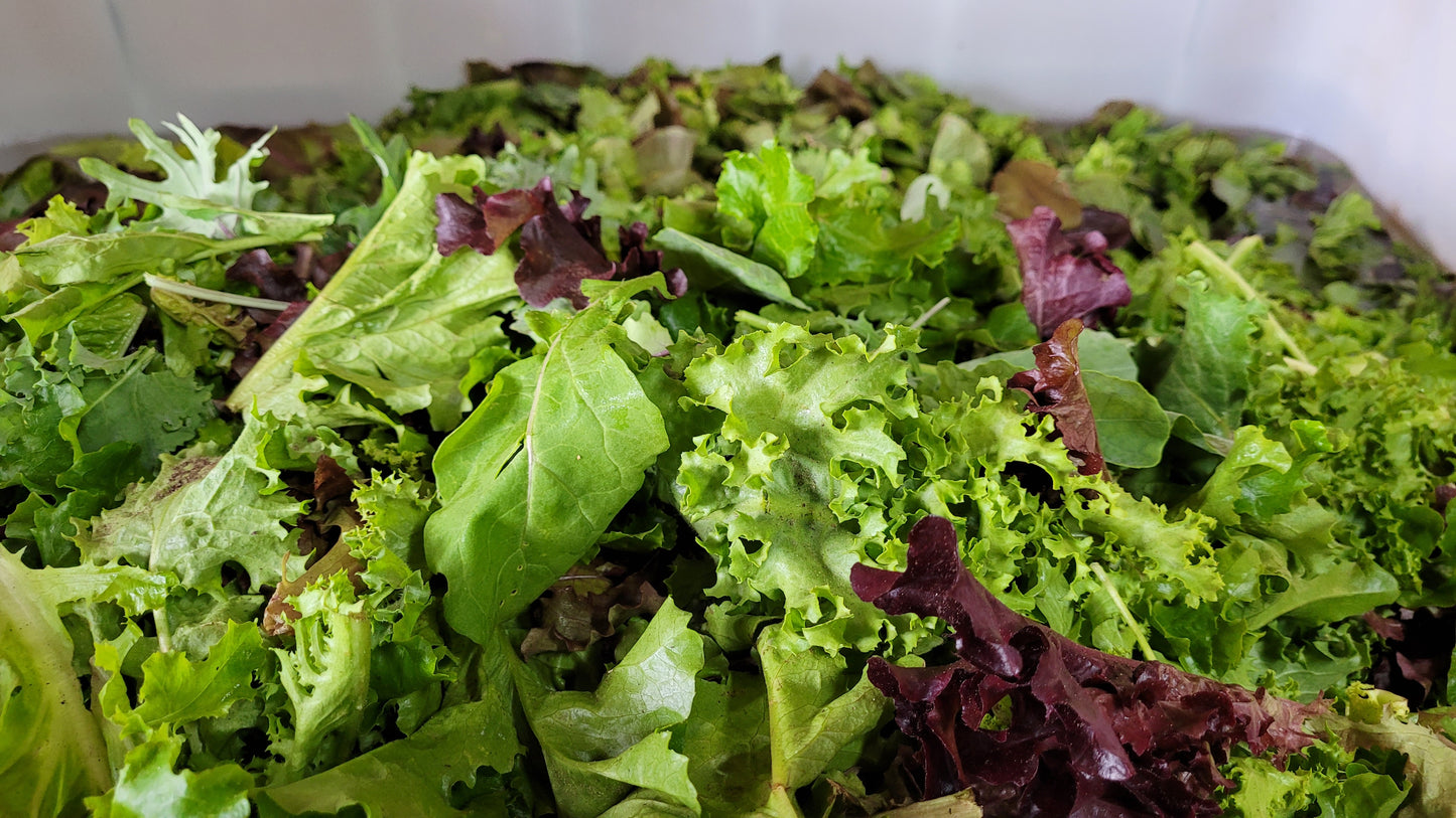 Workshops and Harvest Day | Thursday Workshops | Braga Farms