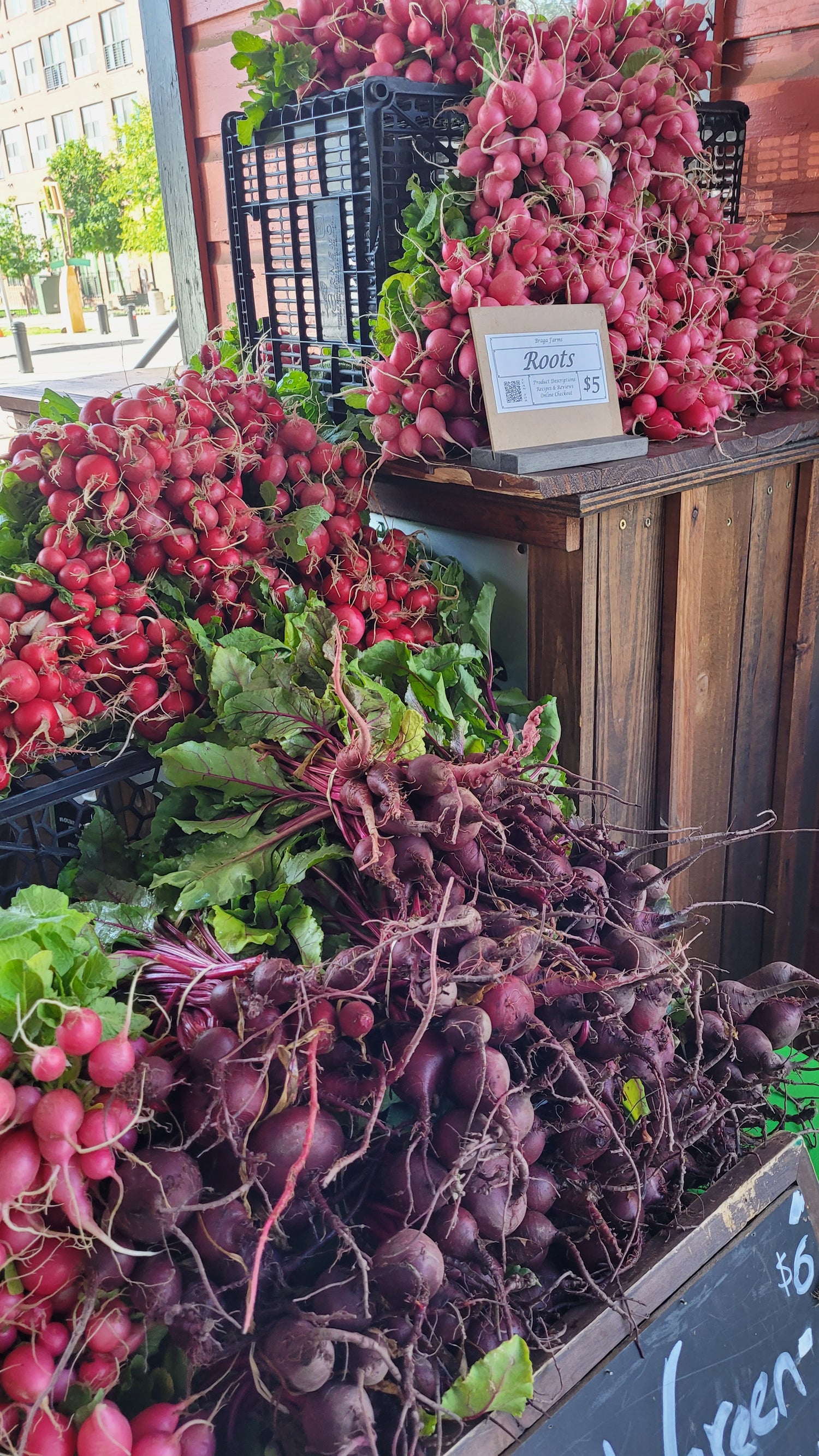 Workshops - Sunday - DFM Market Hours Braga Farms