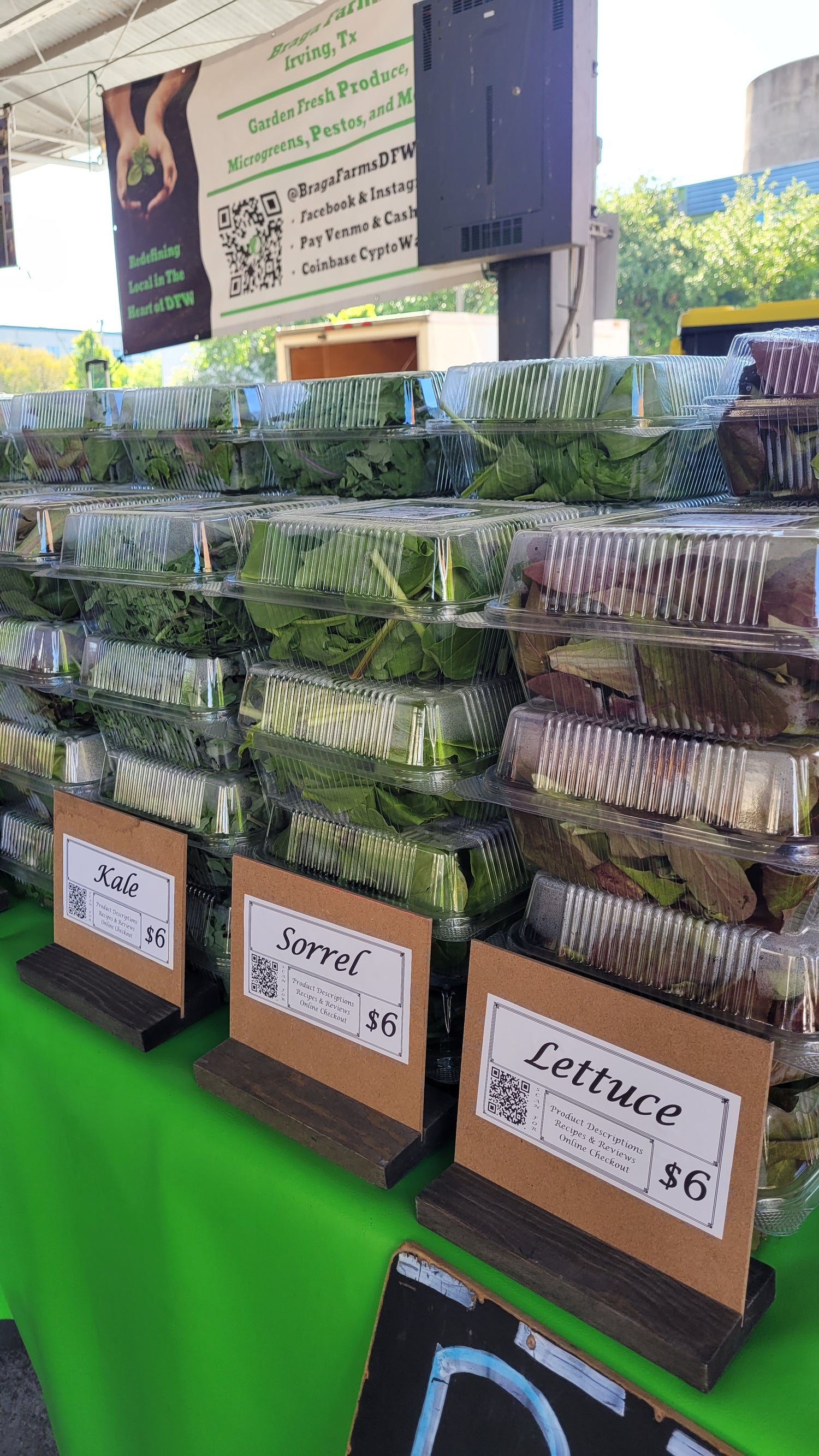 Workshops - Sunday - DFM Market Hours Braga Farms
