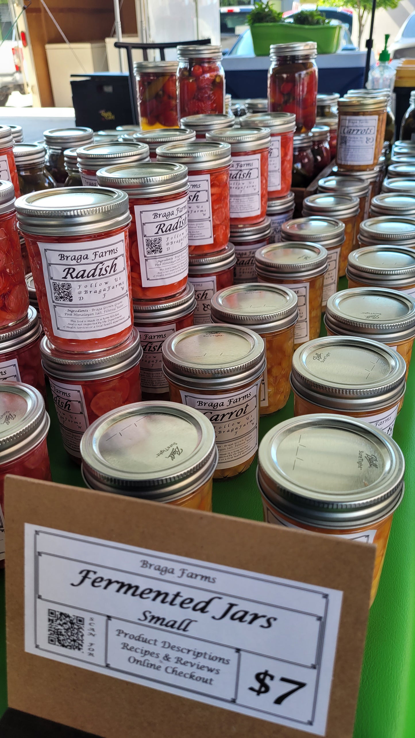 Workshops - Sunday - DFM Market Hours Braga Farms