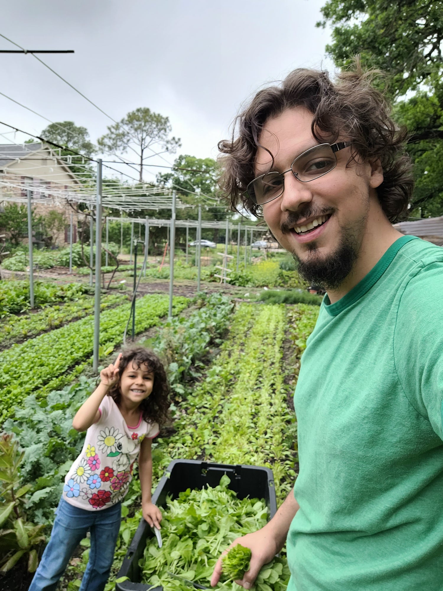Raised Garden Bed | Garden Beds | Raised Planter Boxes | Braga Farms