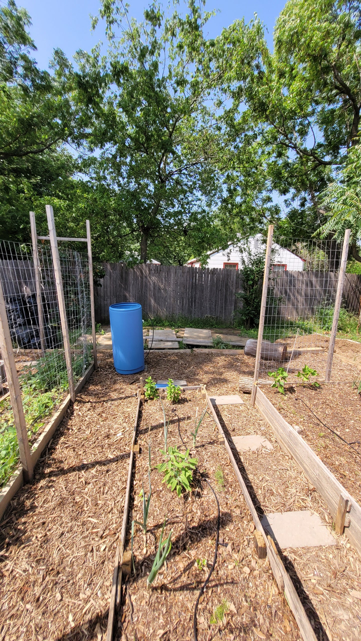 Workshops and Harvest Day | Thursday Workshops | Braga Farms