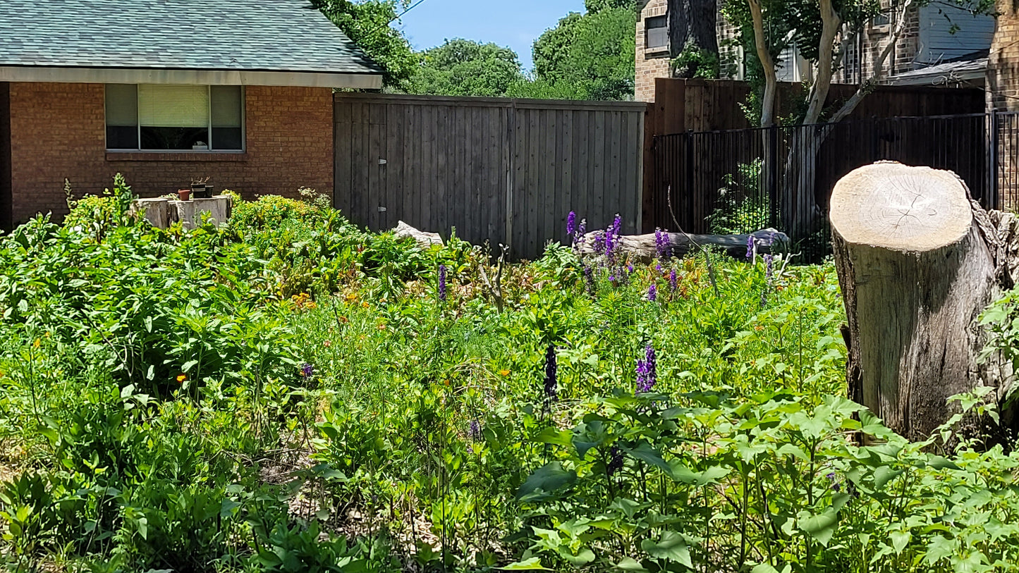 Workshops and Harvest Day | Thursday Workshops | Braga Farms