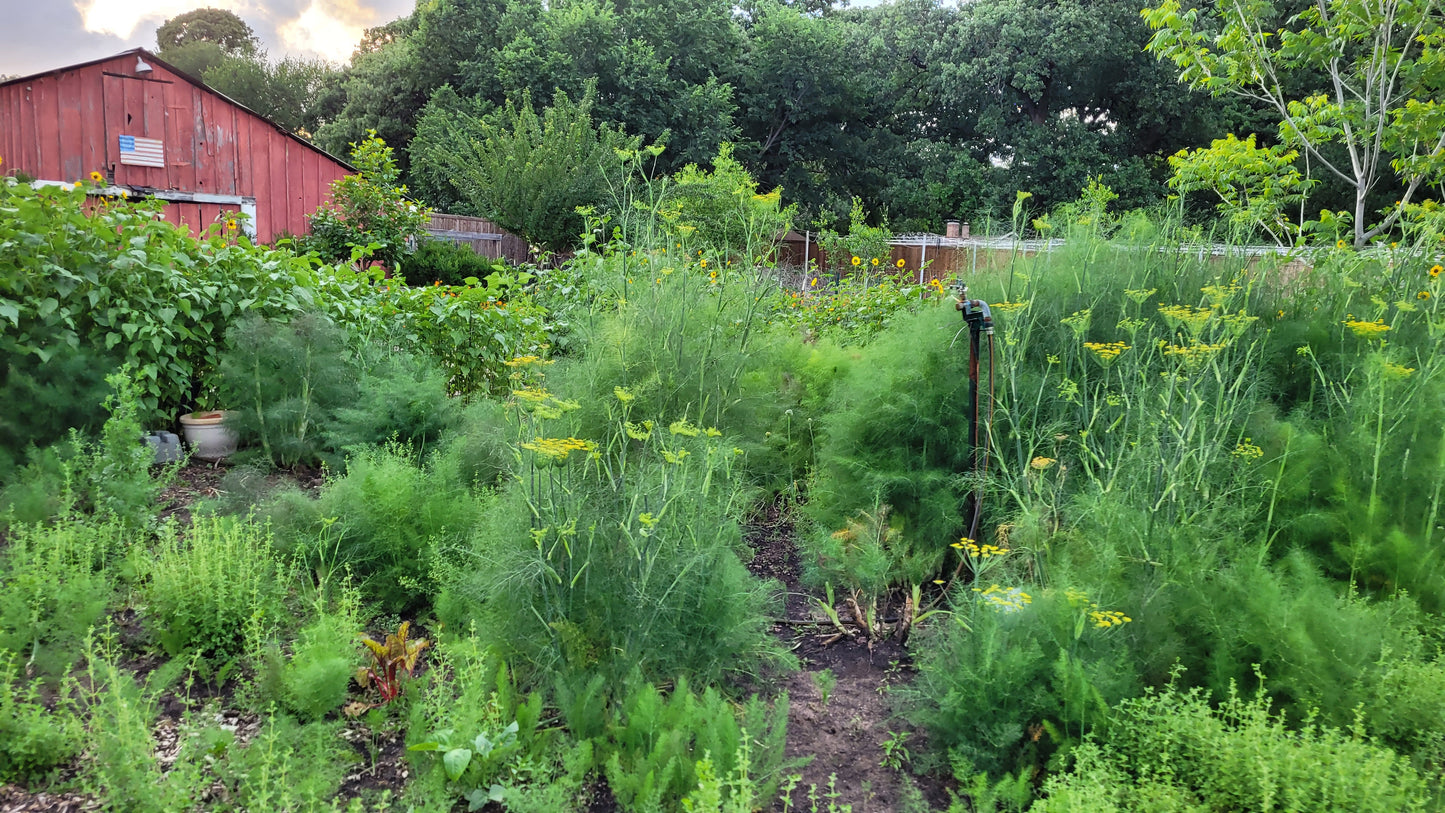 Workshops and Harvest Day | Thursday Workshops | Braga Farms