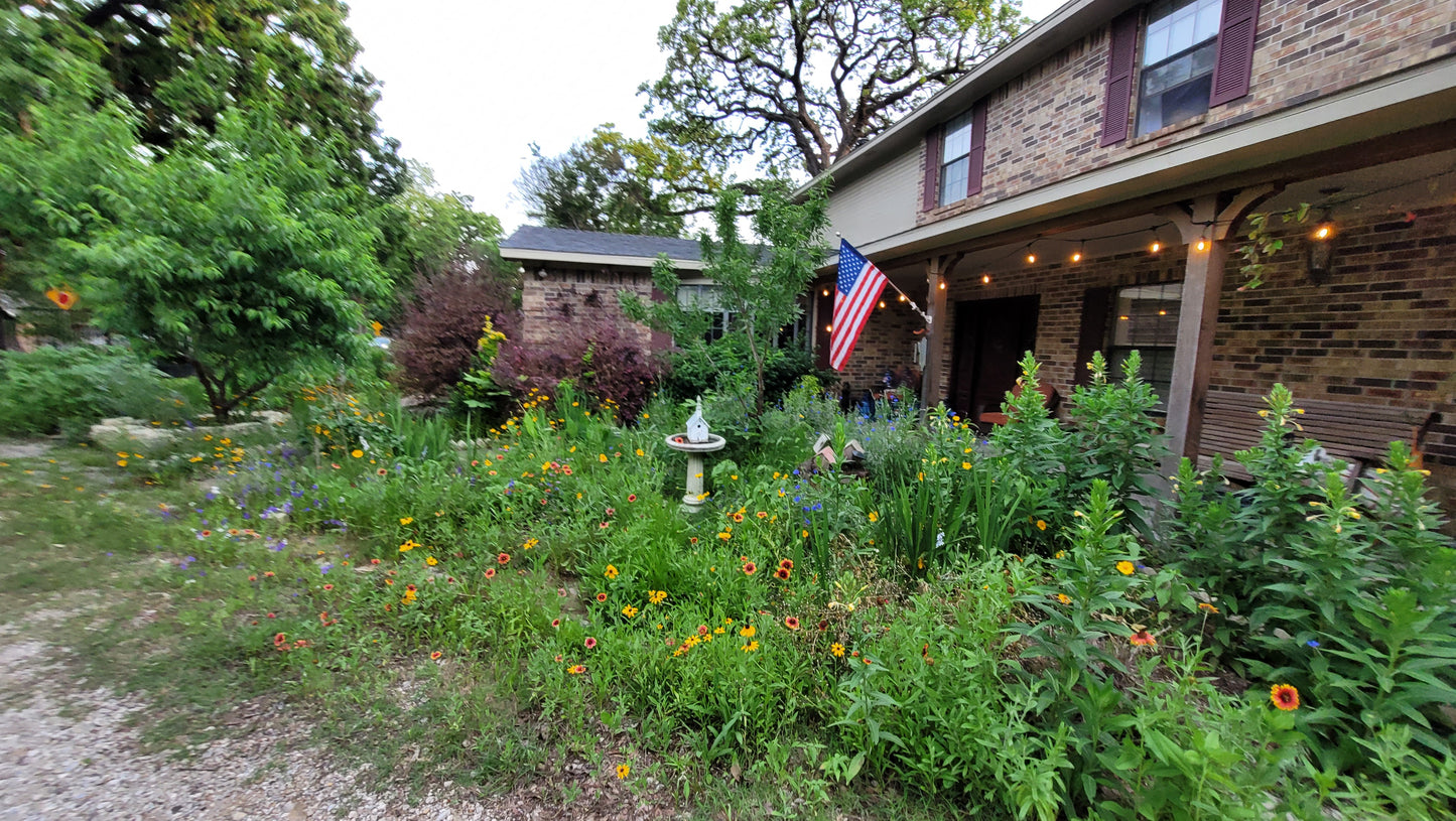 Workshops - Wednesday - Workalongs Braga Farms