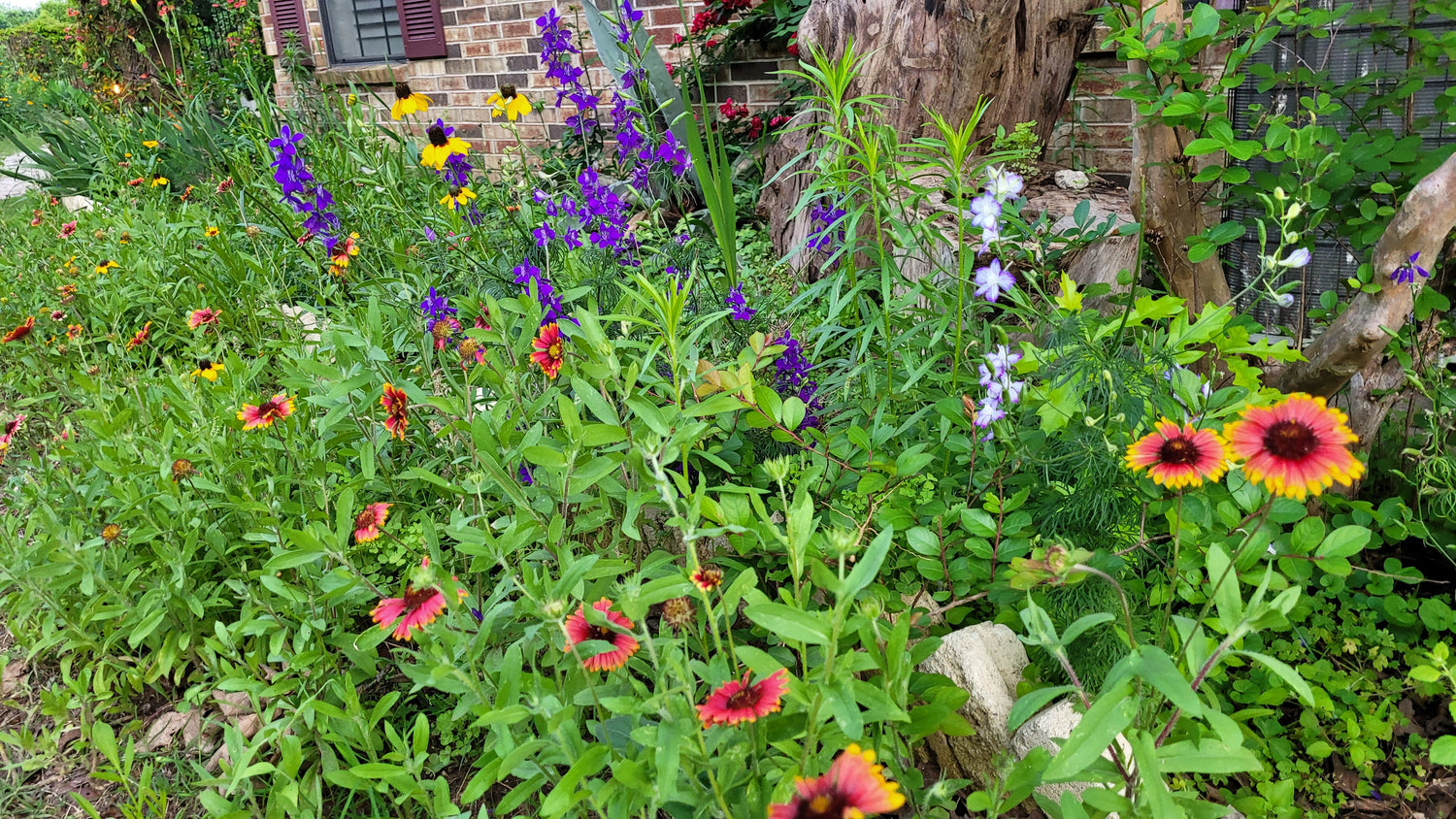 Workshops - Wednesday - Workalongs Braga Farms