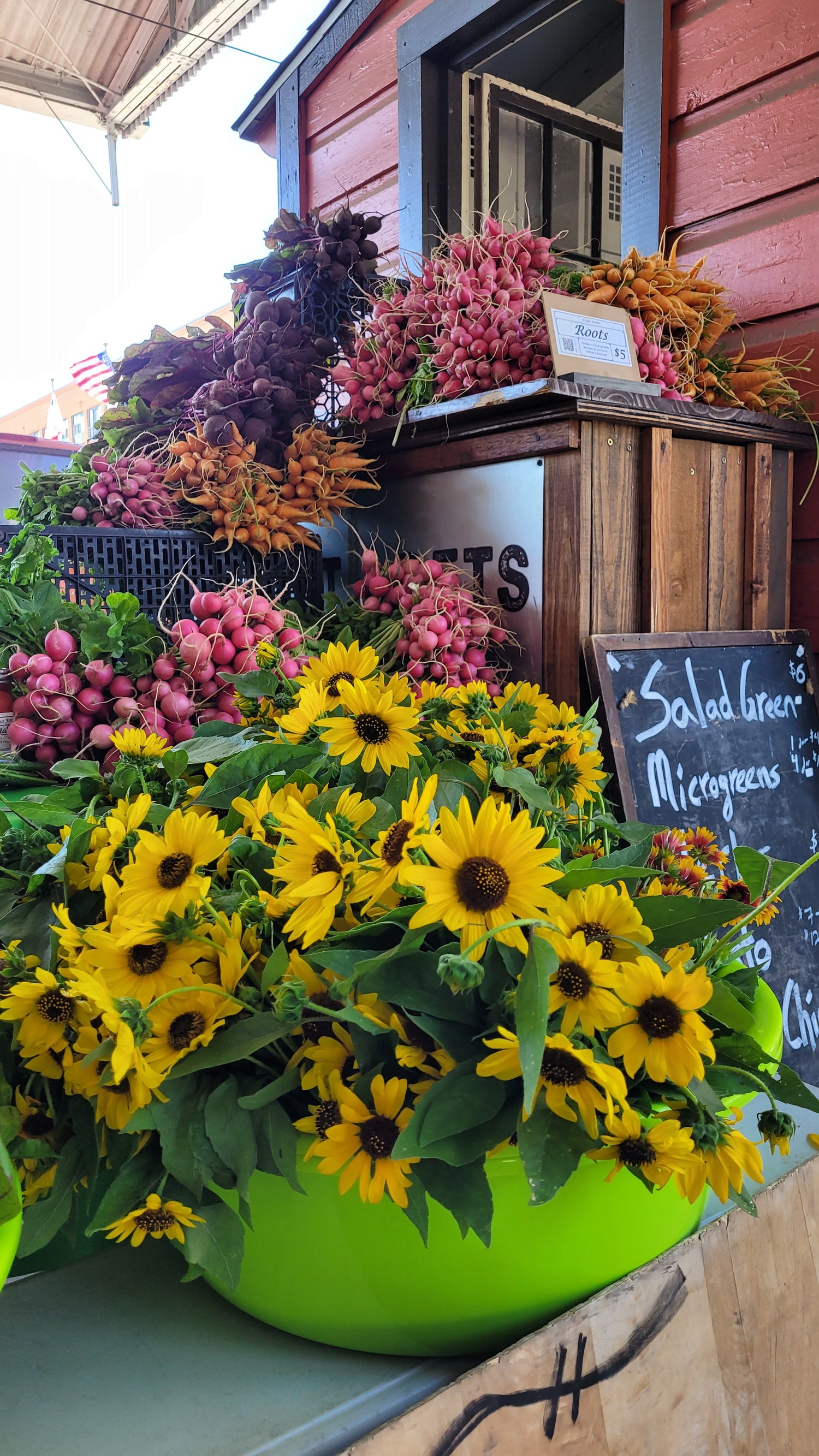 Workshops - Sunday - DFM Market Hours Braga Farms