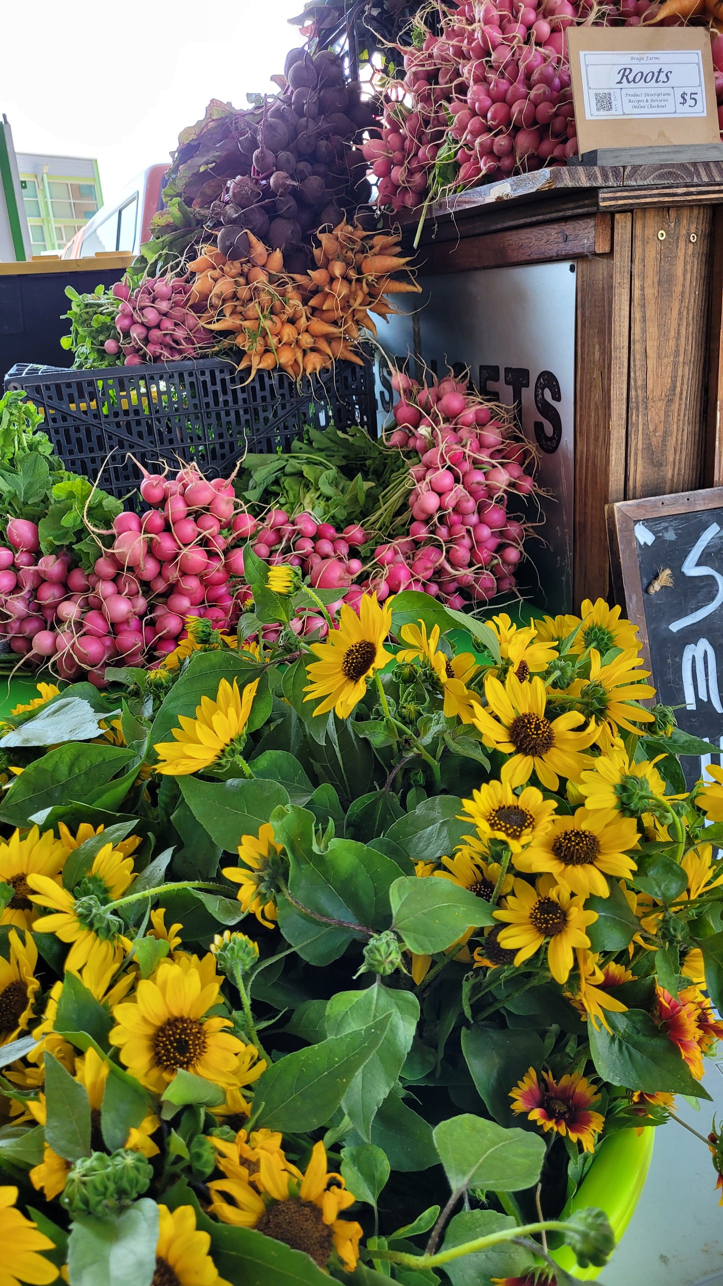 Workshops - Sunday - DFM Market Hours Braga Farms