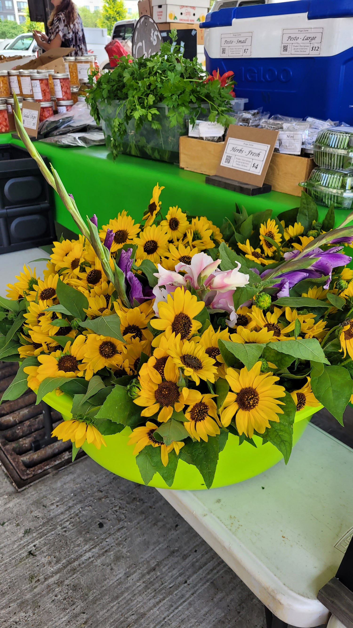 Saint Michaels Market Hours | Workshops Saturday | Braga Farms