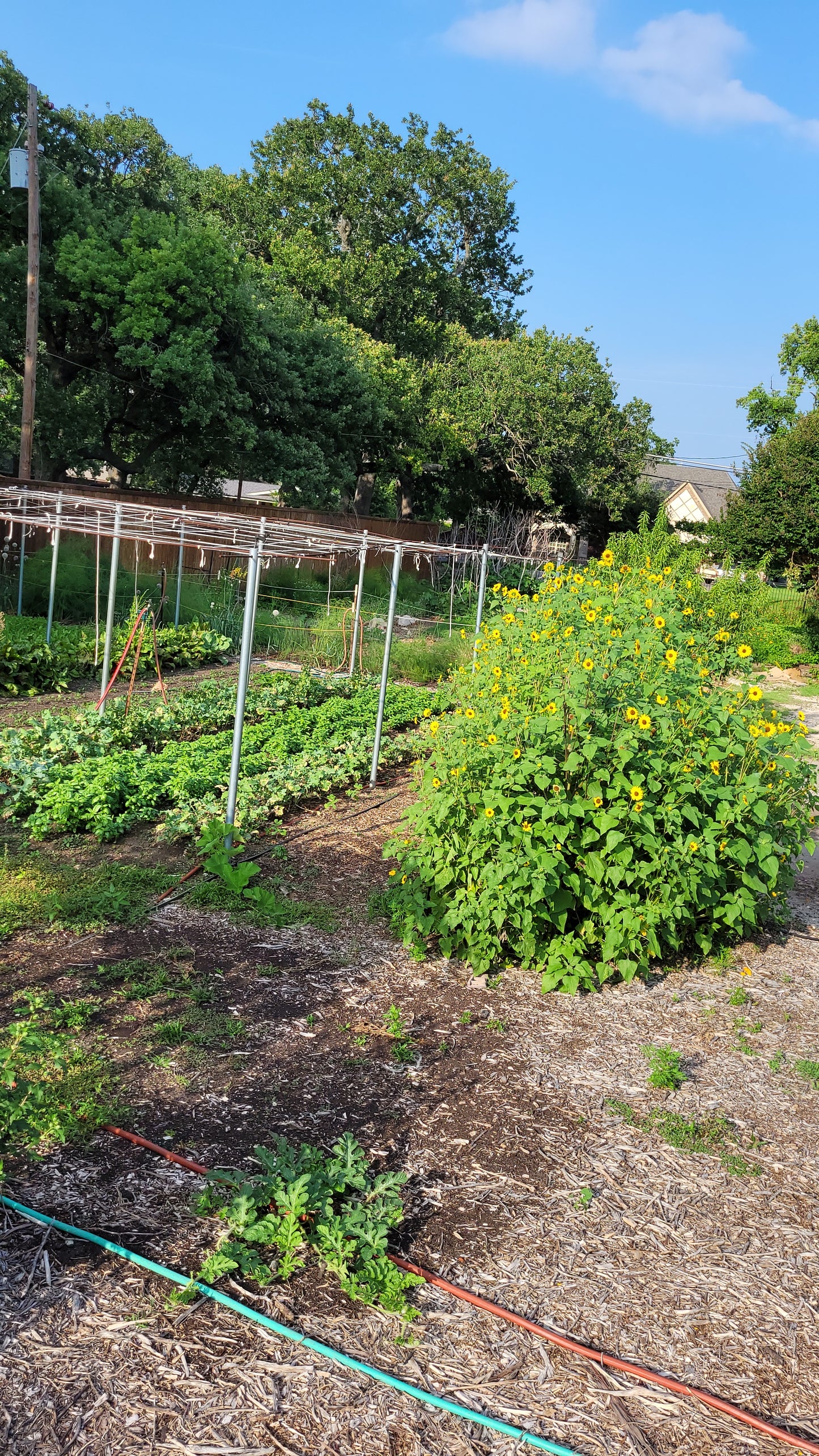 Workshops - Wednesday - Workalongs Braga Farms
