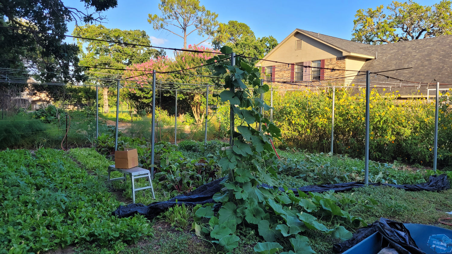 Workshops and Harvest Day | Thursday Workshops | Braga Farms