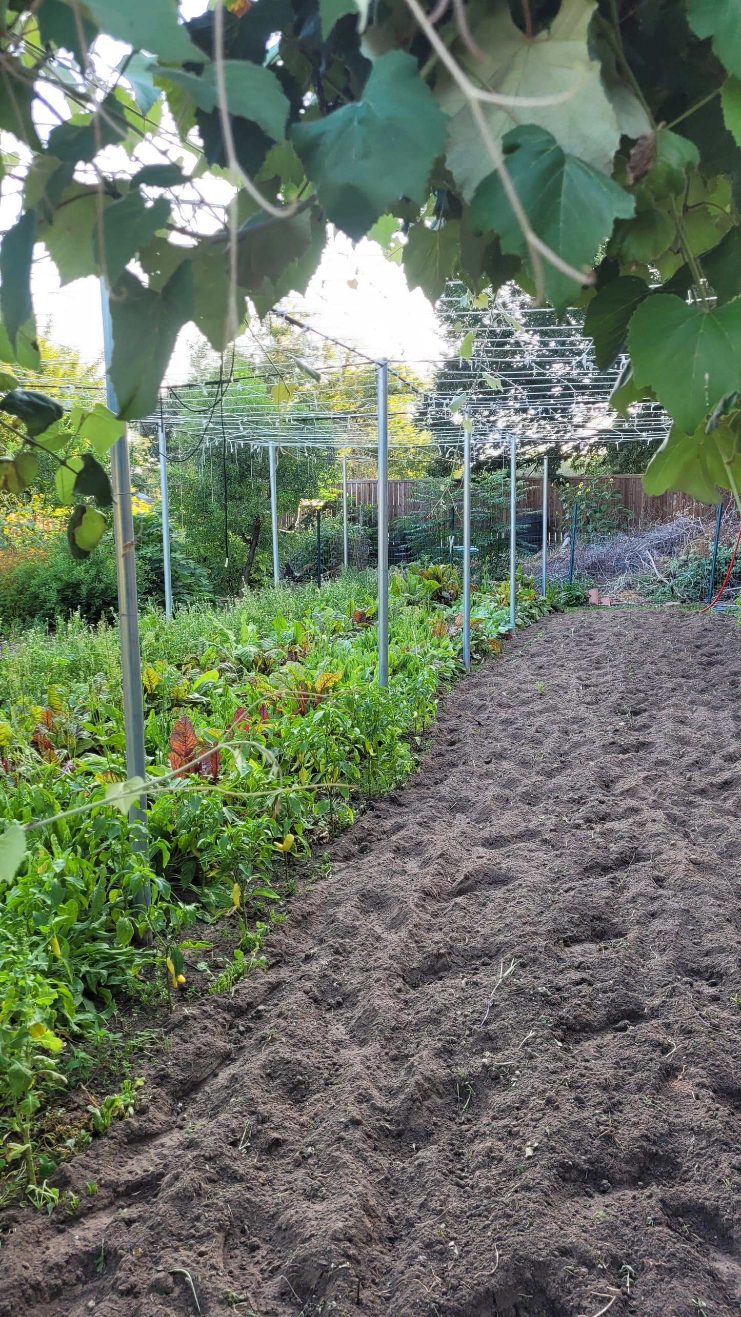Workshops and Harvest Day | Thursday Workshops | Braga Farms
