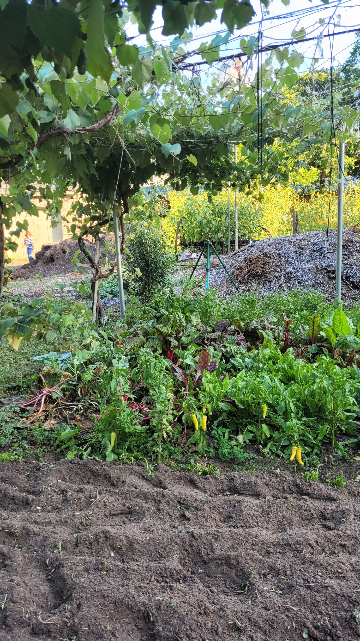 Workshops - Wednesday - Workalongs Braga Farms