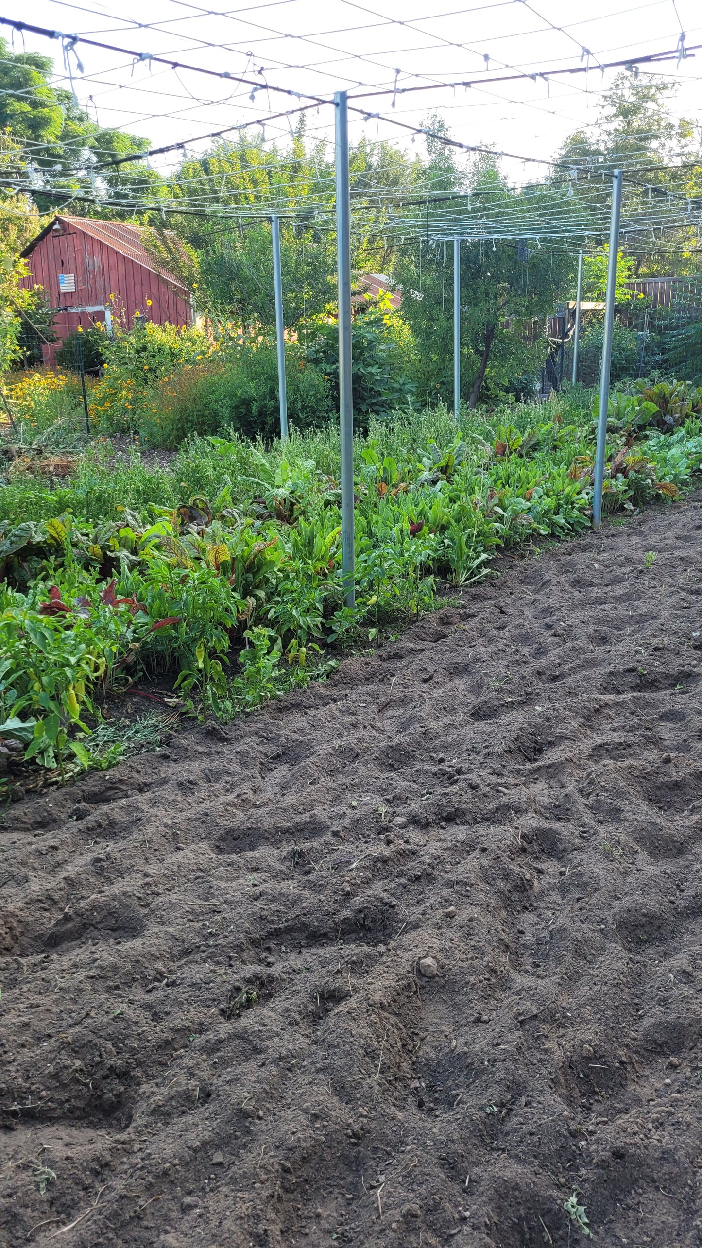 Workshops - Wednesday - Workalongs Braga Farms