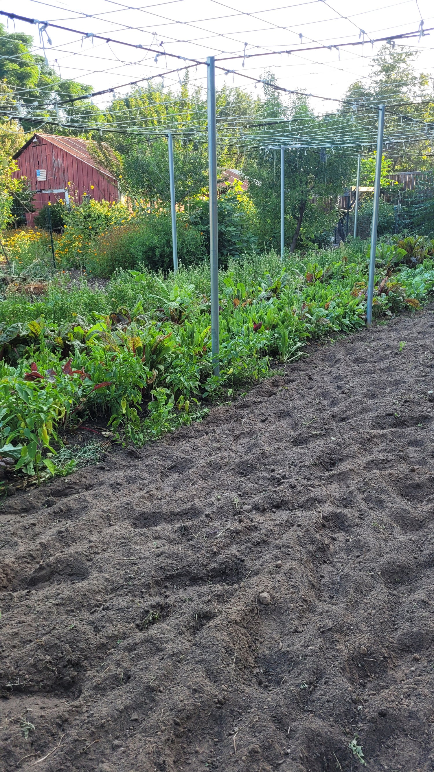 Workshops - Wednesday - Workalongs Braga Farms
