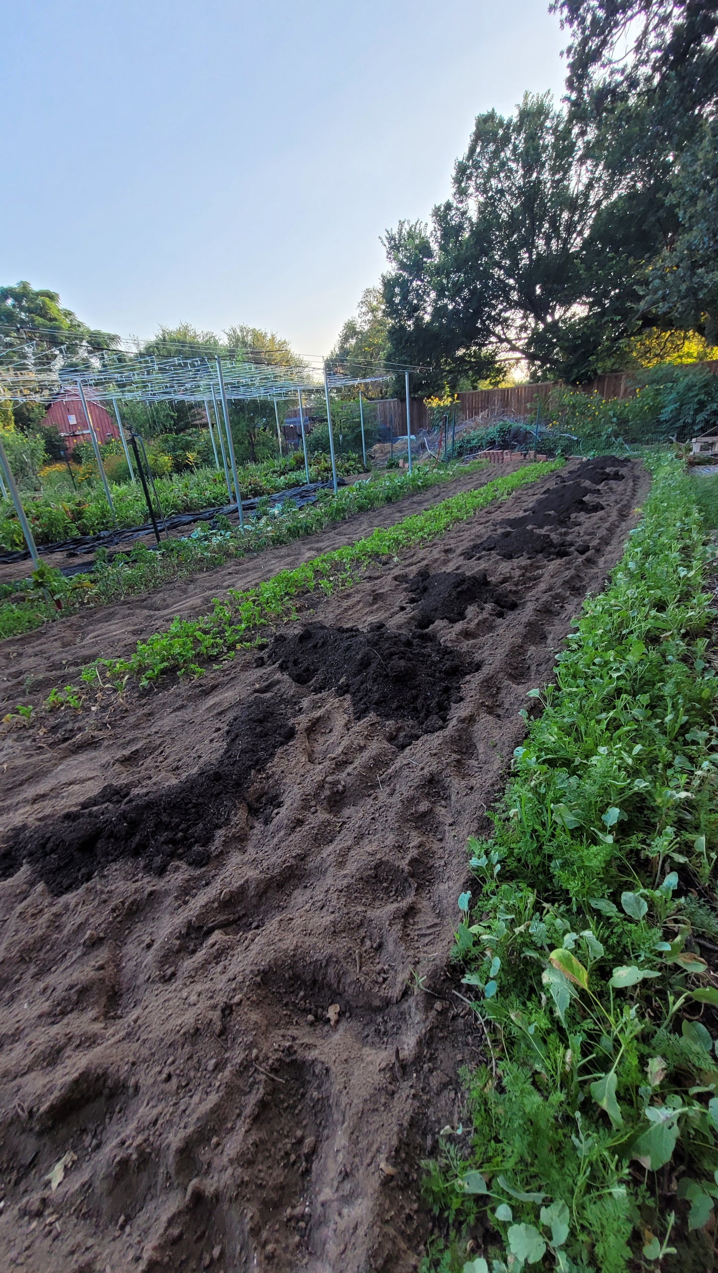Workshops - Thursday - Workshops and Harvest Day Braga Farms