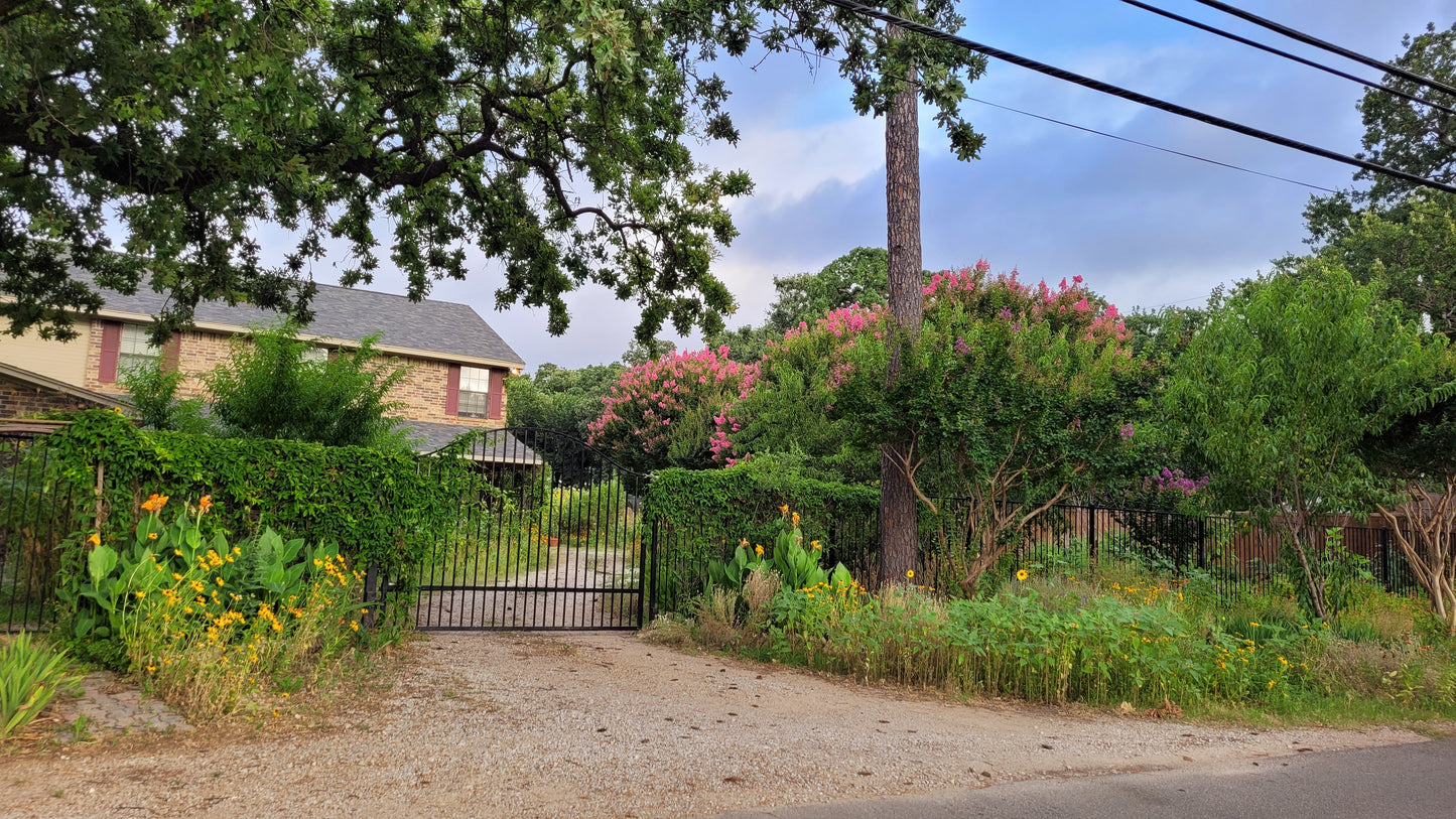 Workshops - Wednesday - Workalongs Braga Farms
