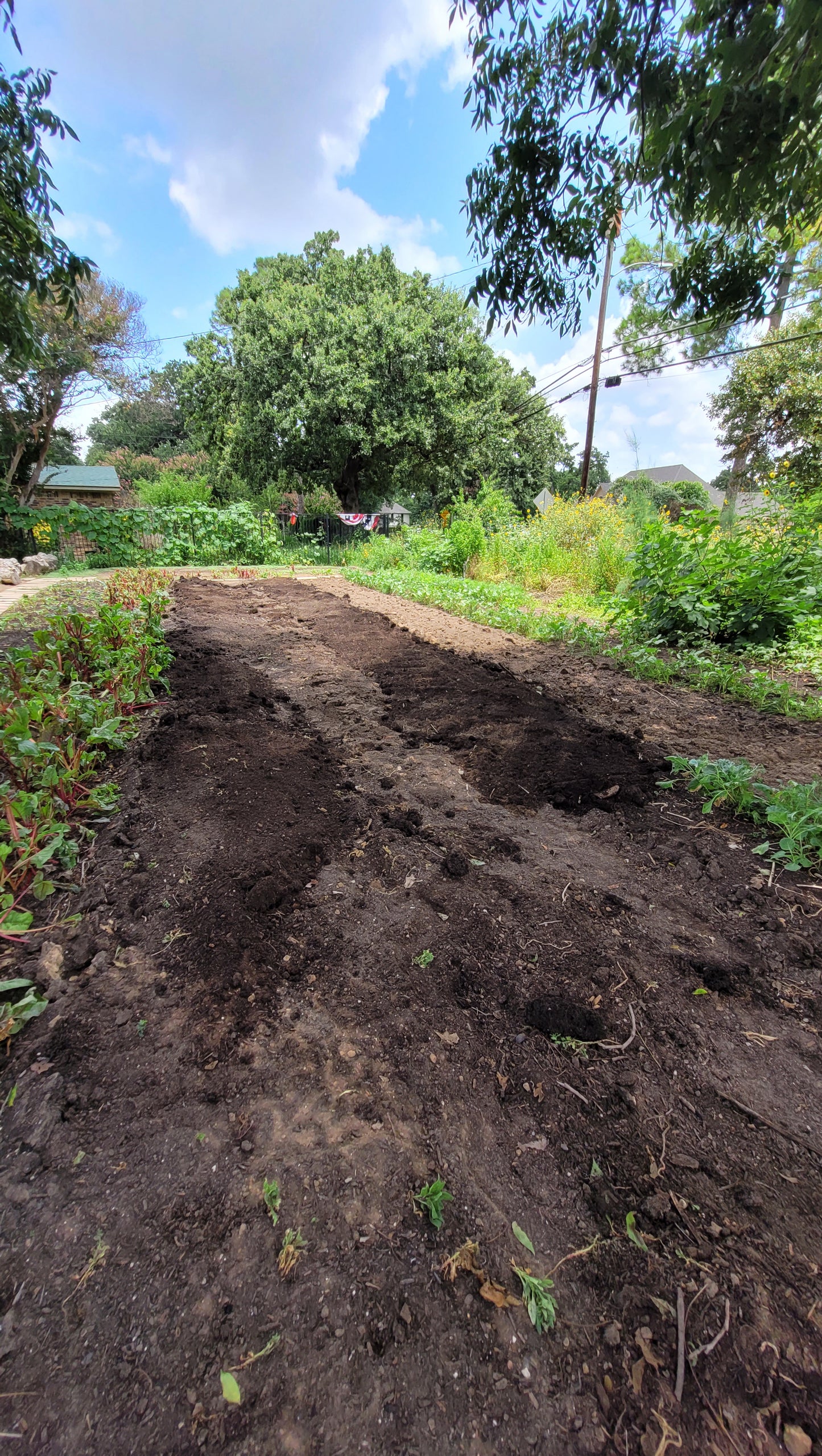 Workshops - Thursday - Workshops and Harvest Day Braga Farms