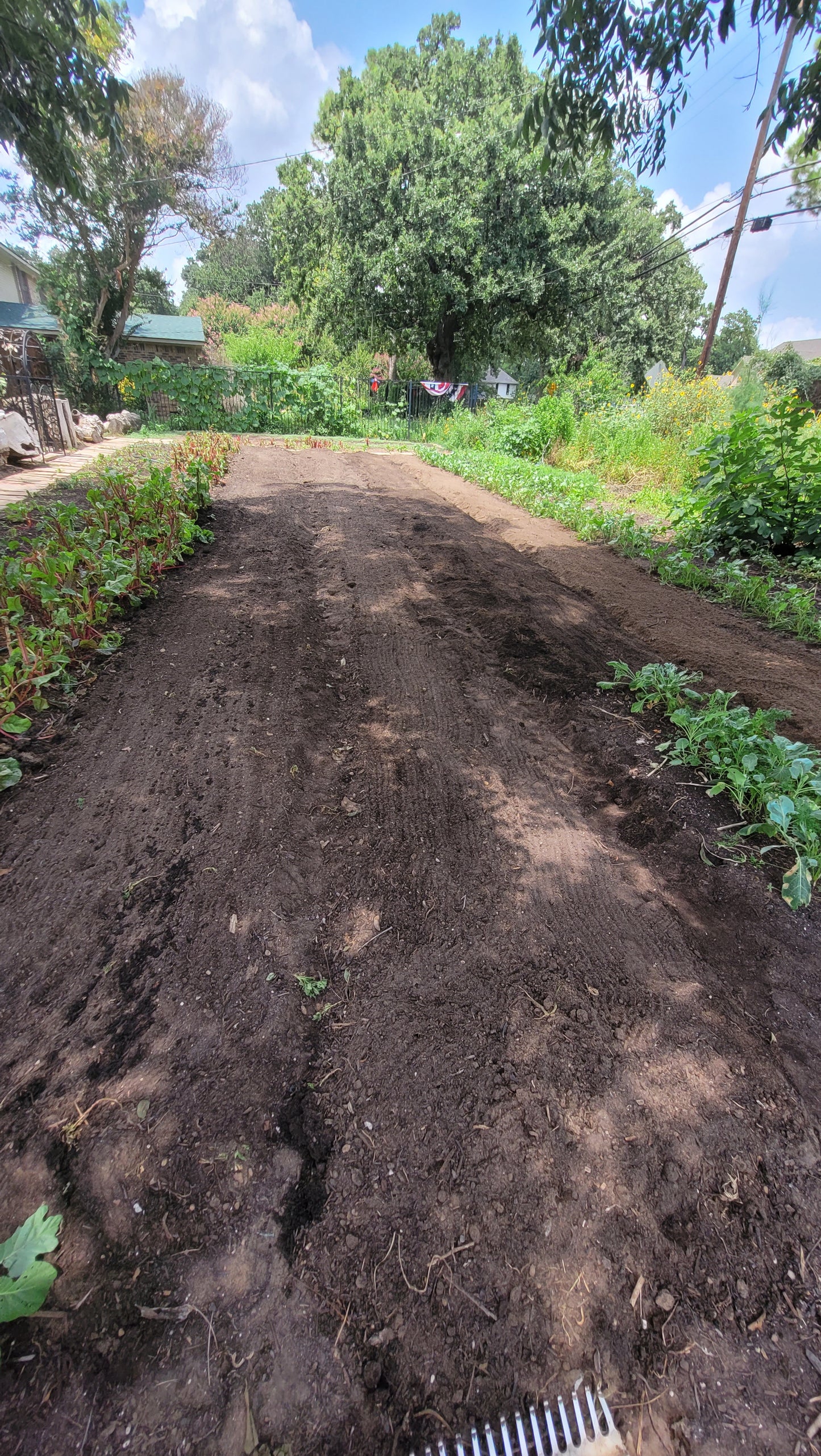 Workshops - Wednesday - Workalongs Braga Farms