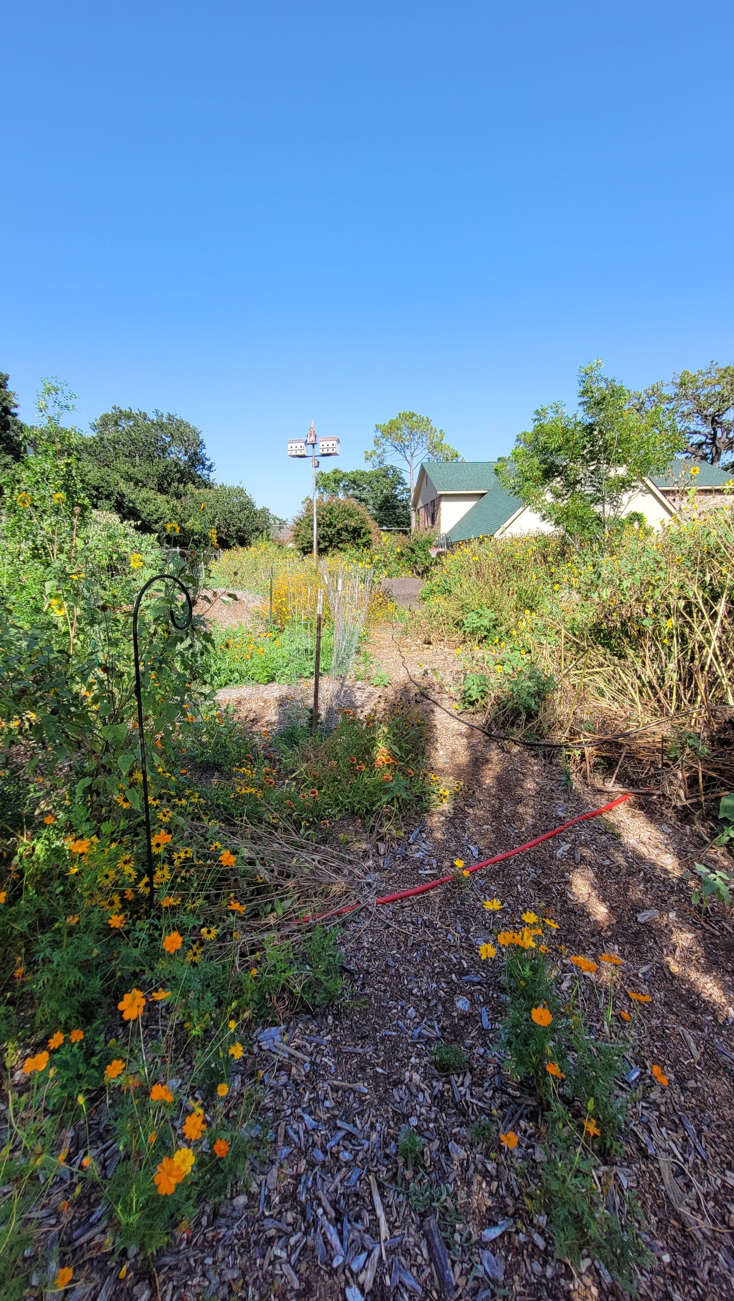 Workshops - Thursday - Workshops and Harvest Day Braga Farms