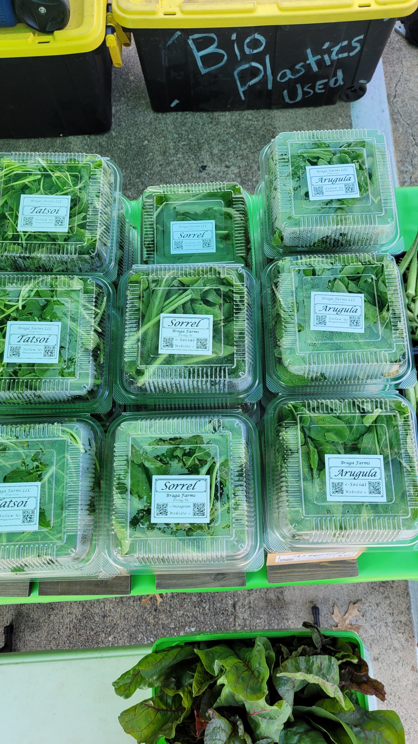 Workshops - Sunday - DFM Market Hours Braga Farms