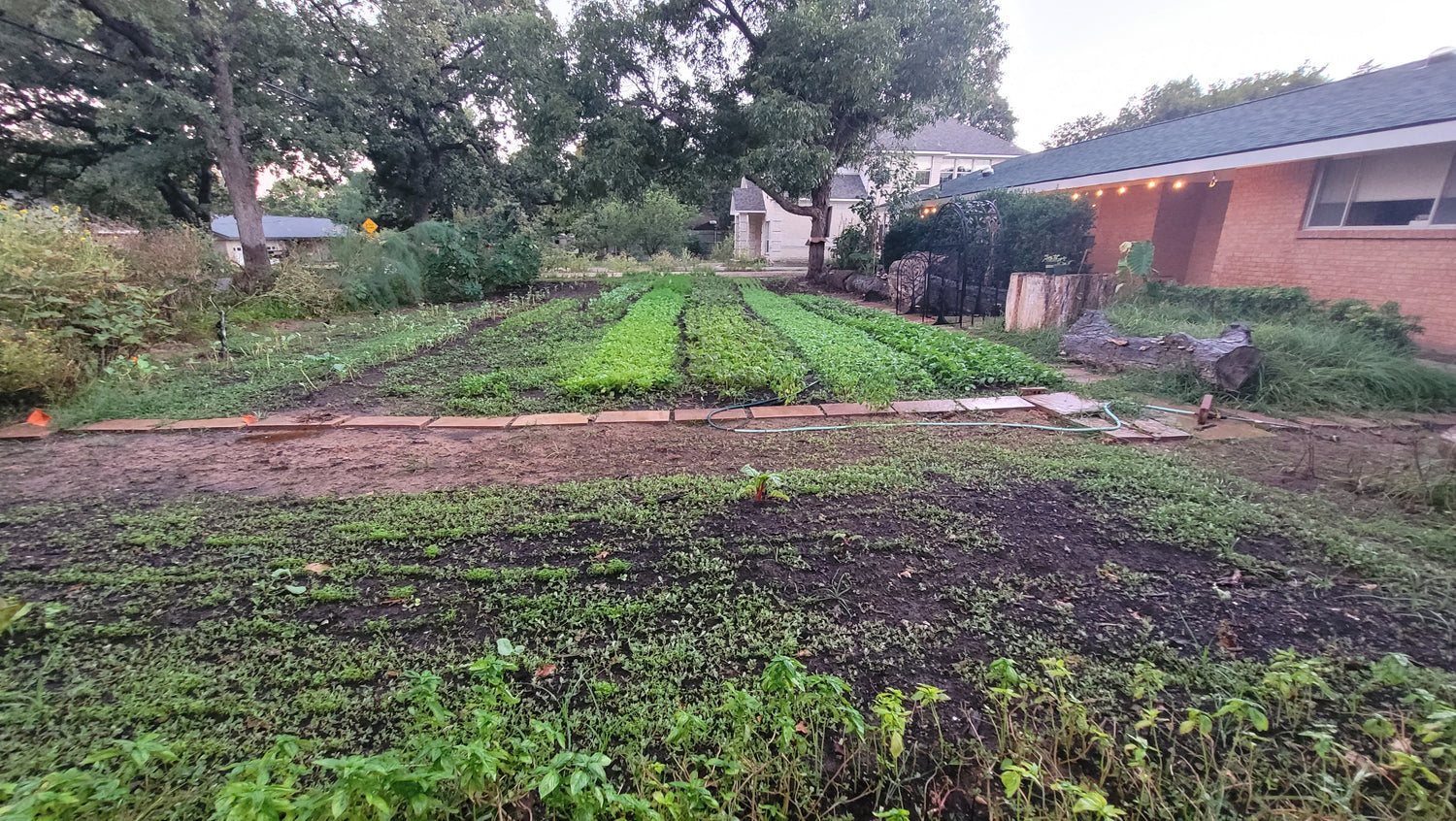 Raised Garden Bed | Garden Beds | Raised Planter Boxes | Braga Farms