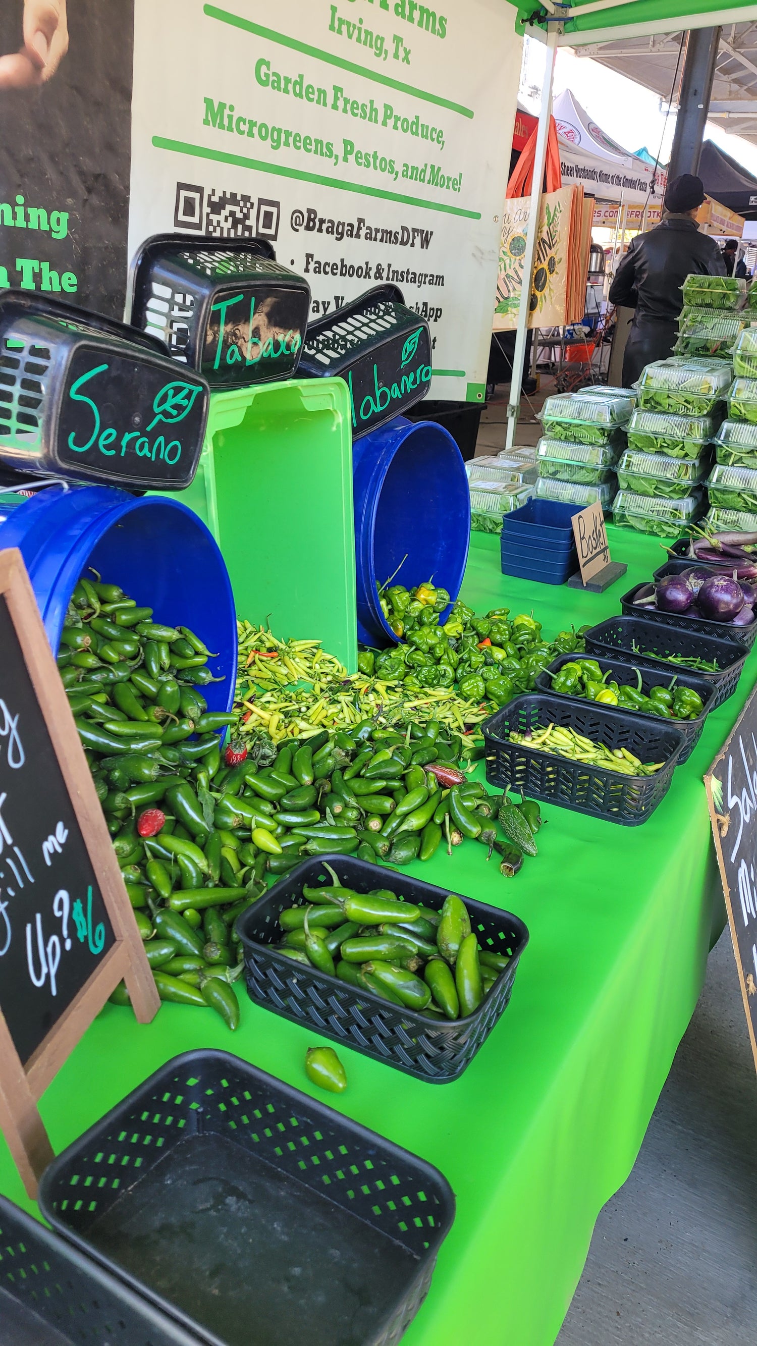 Workshops - Sunday - DFM Market Hours Braga Farms