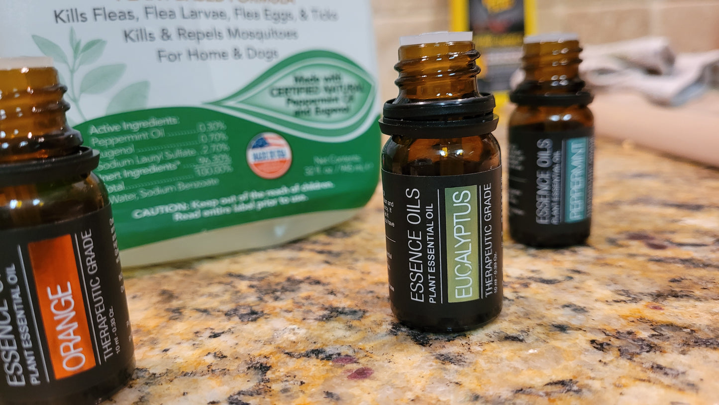 Predatory Bugs Workshops | Predatory Bugs | Braga Farms