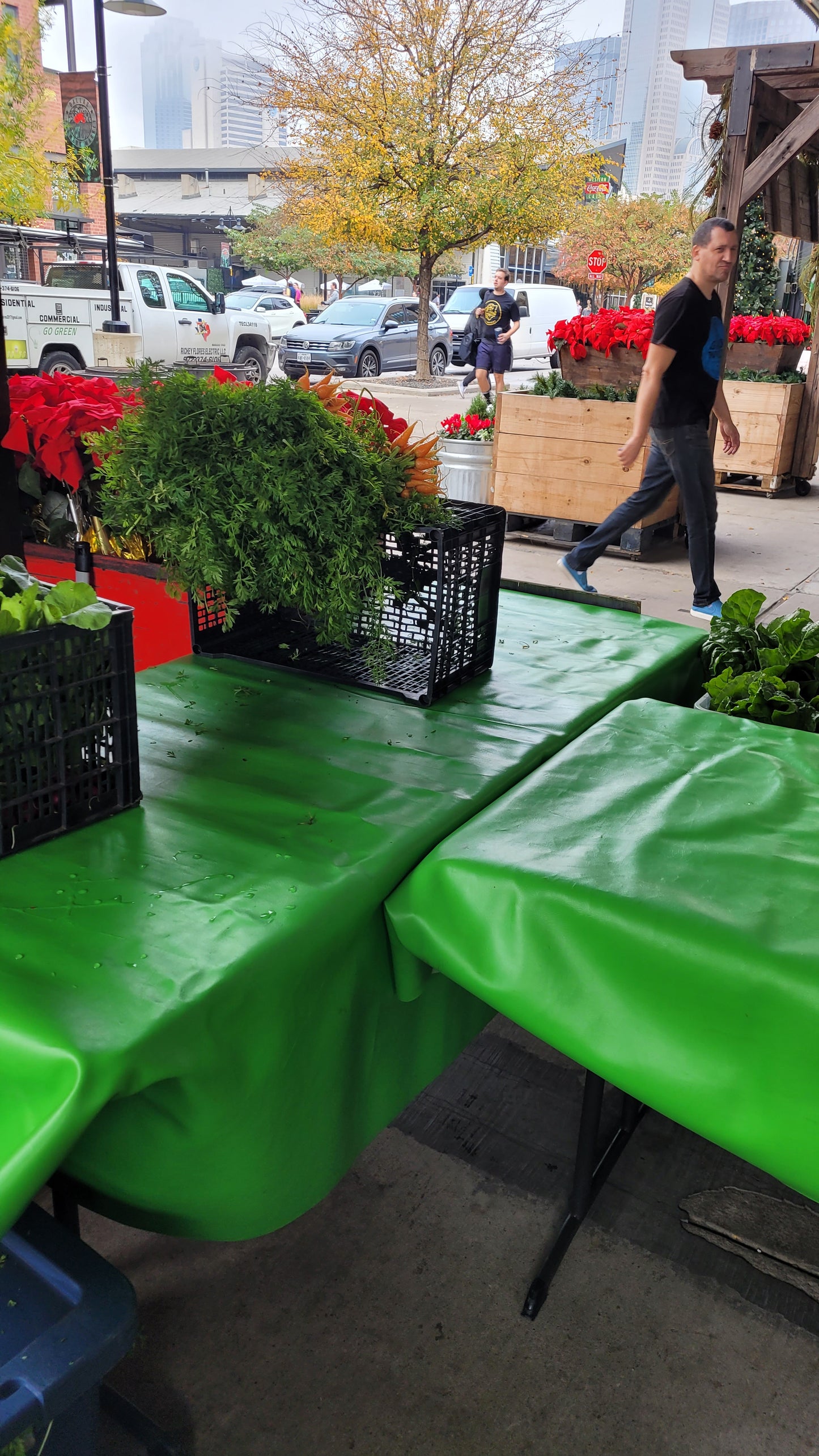 Workshops - Sunday - DFM Market Hours Braga Farms
