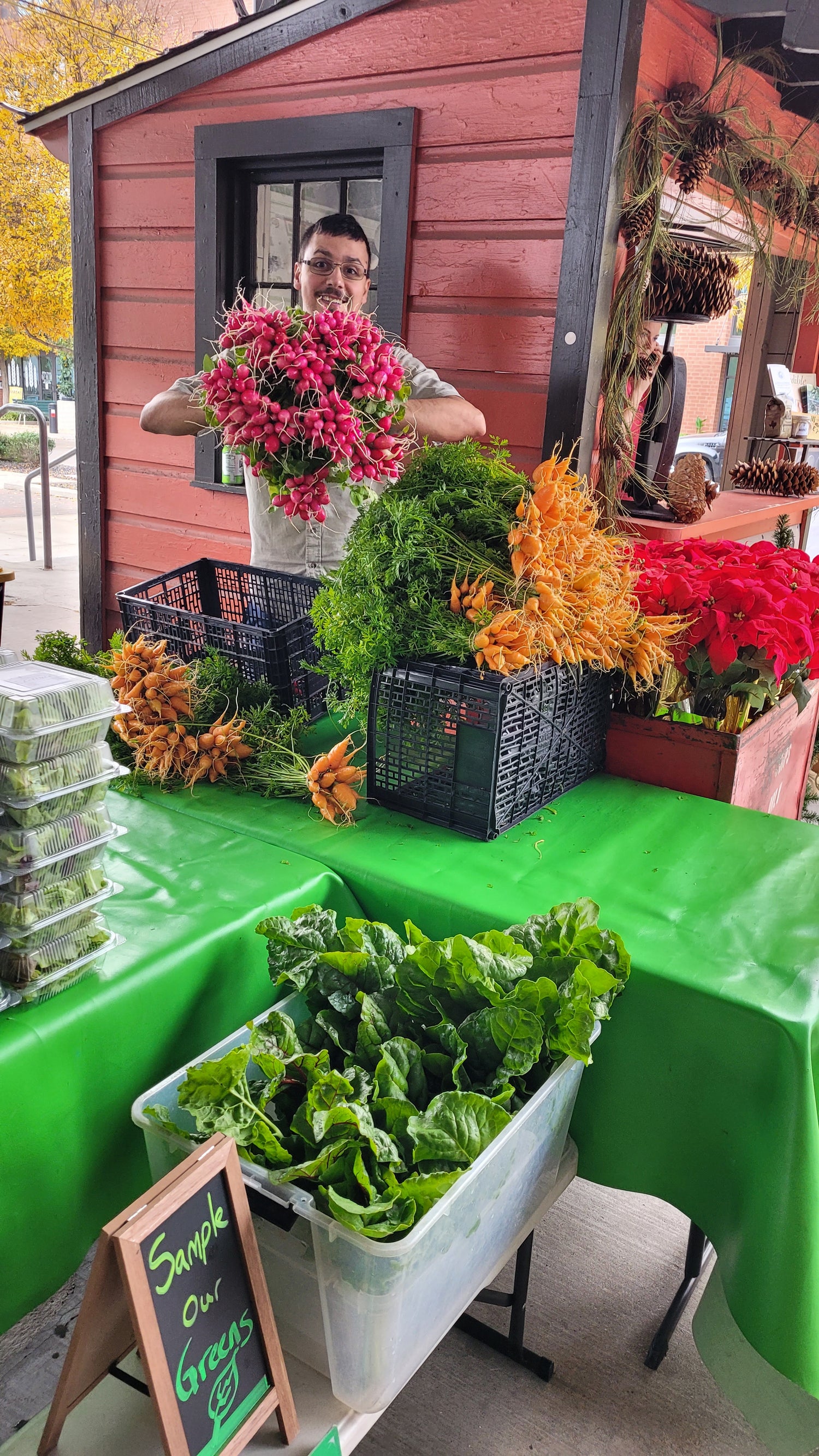 Workshops - Sunday - DFM Market Hours Braga Farms