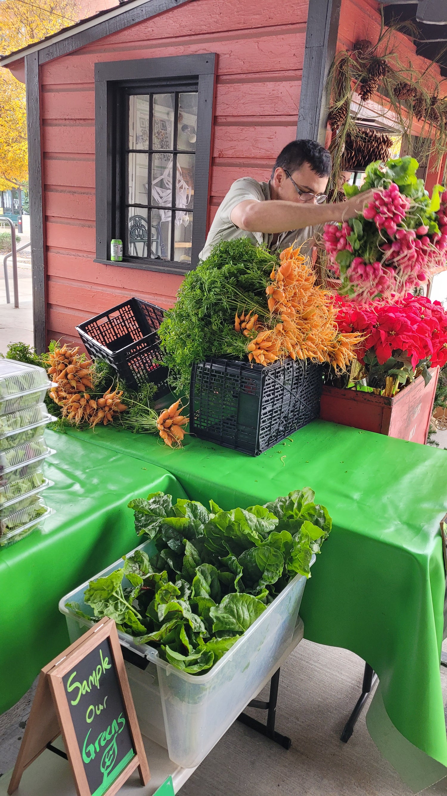 Workshops - Sunday - DFM Market Hours Braga Farms