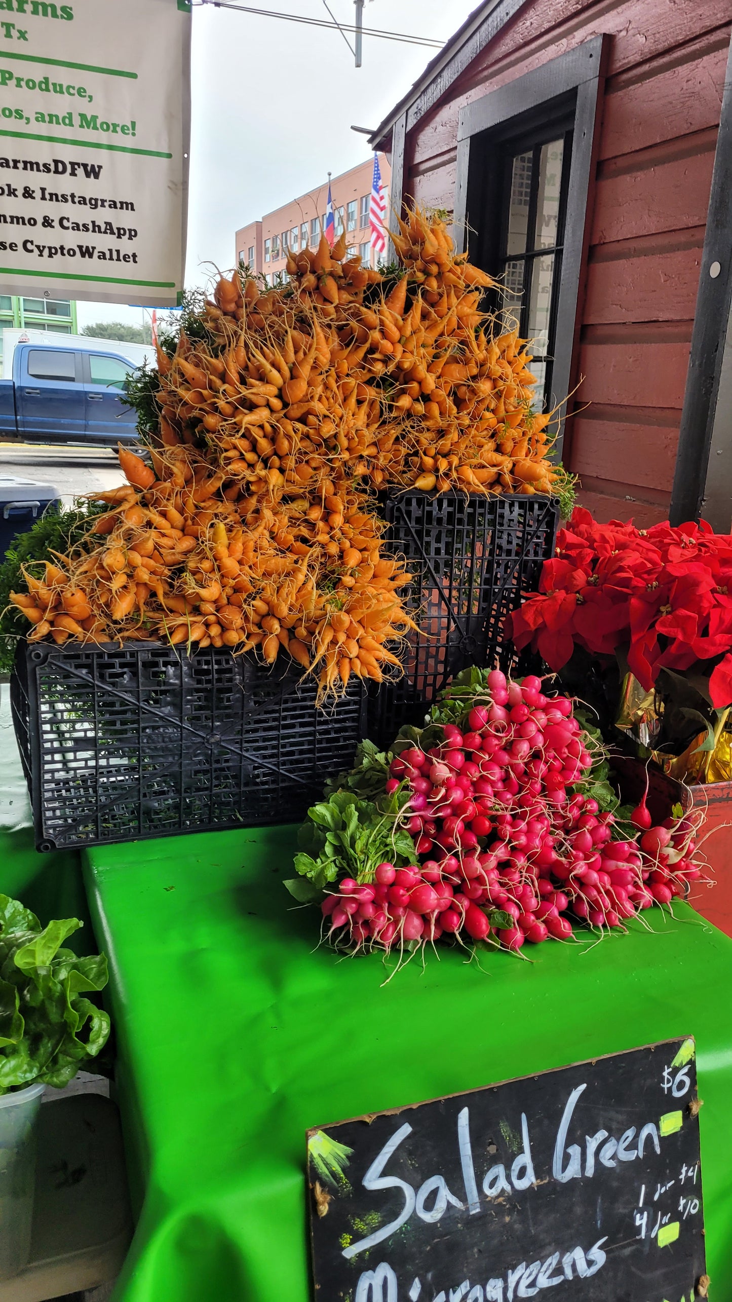 Workshops - Sunday - DFM Market Hours Braga Farms
