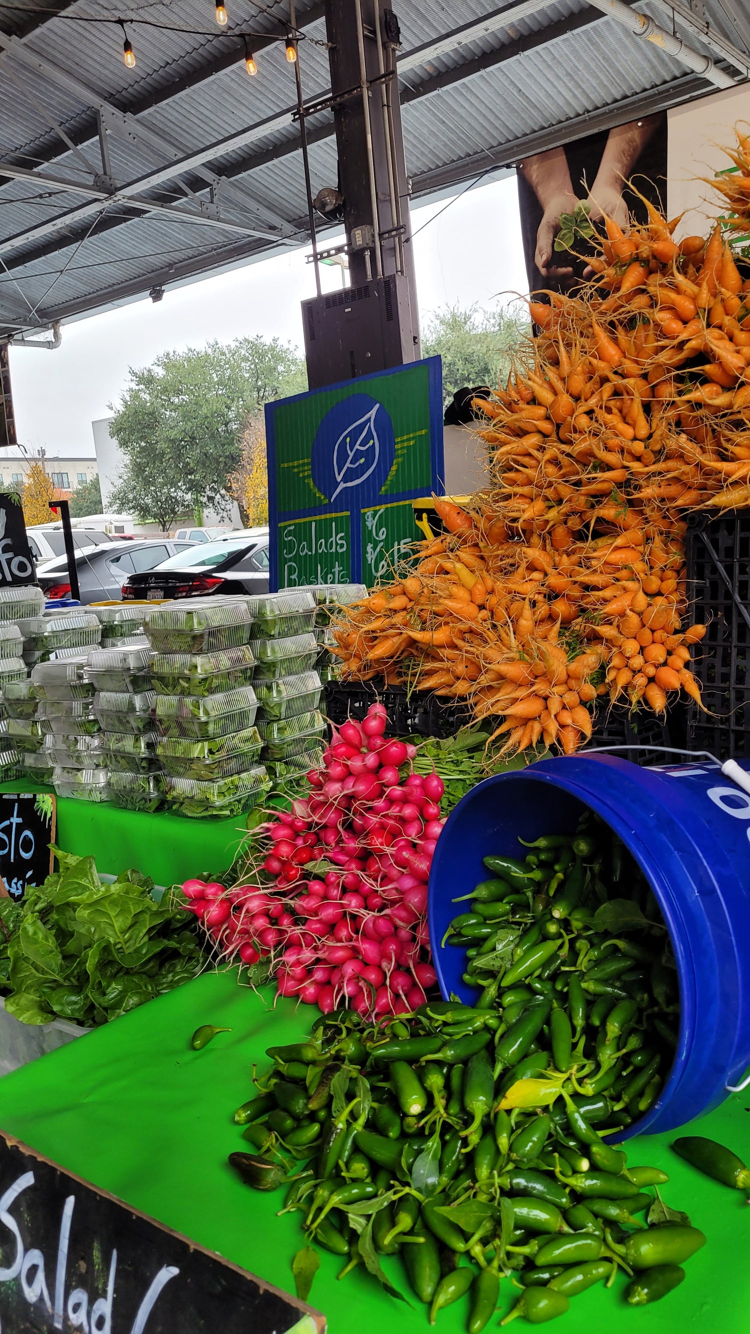 Workshops - Sunday - DFM Market Hours Braga Farms