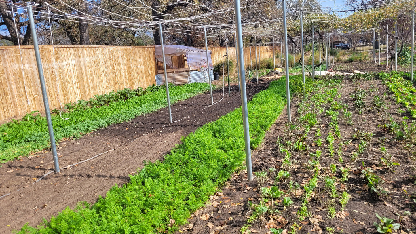 Workshops Lawn to Farm | Lawn to Farm | Braga Farm