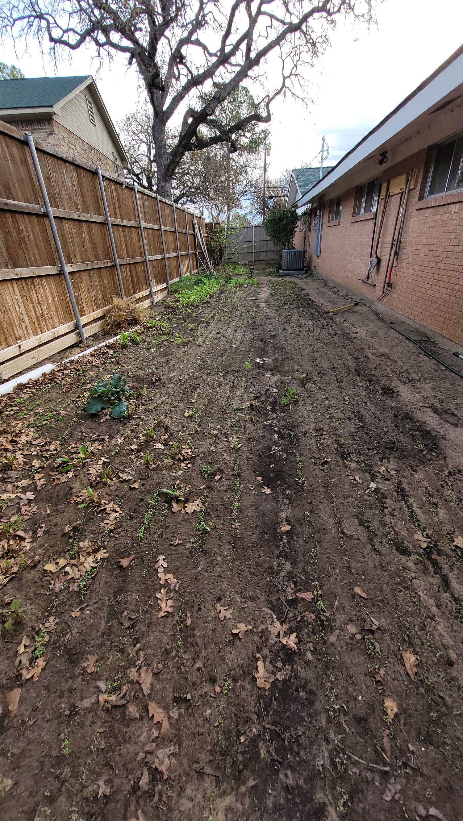Workshops Lawn to Farm | Lawn to Farm | Braga Farm