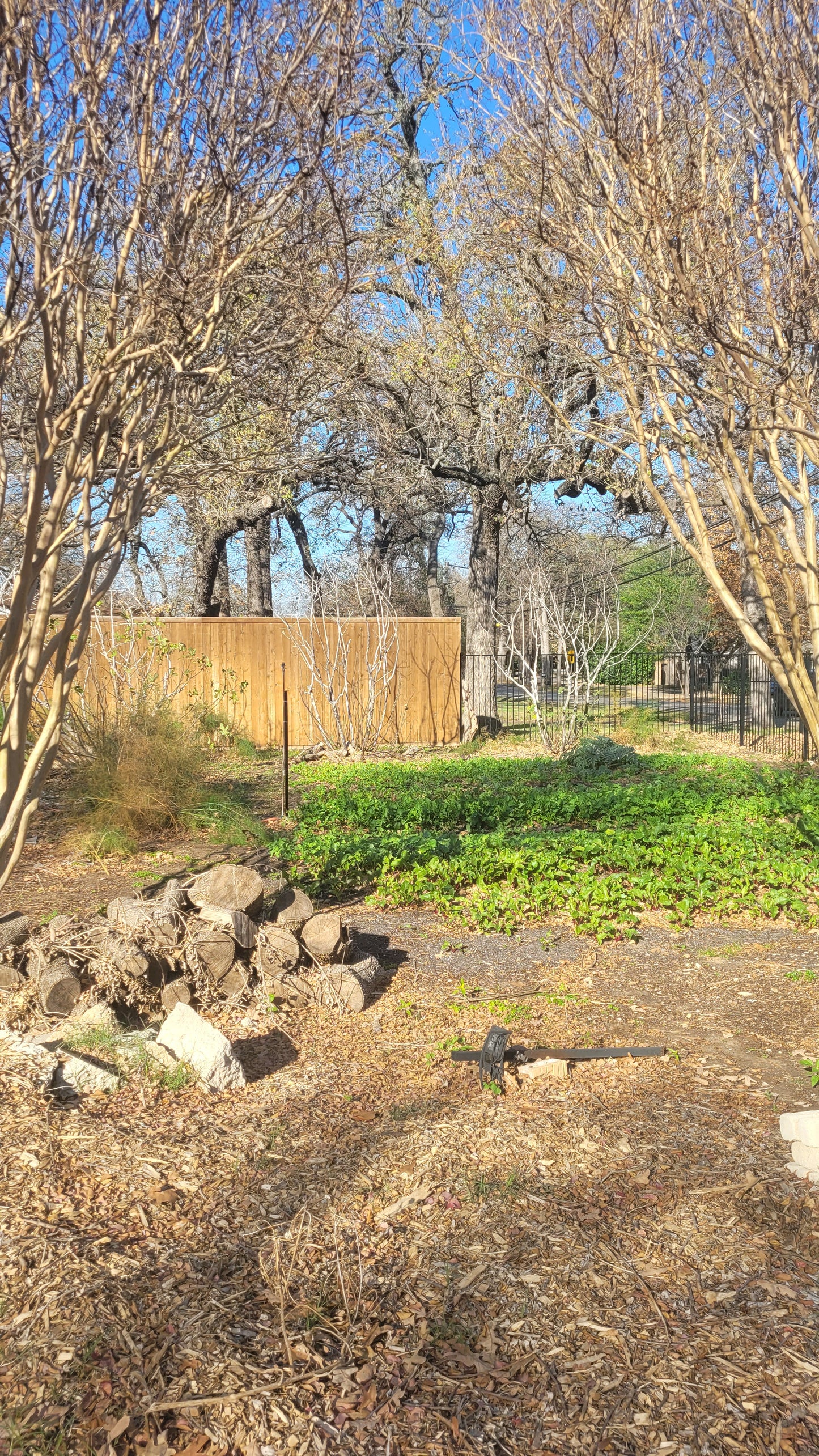 Workshops - Lawn to Farm Braga Farms