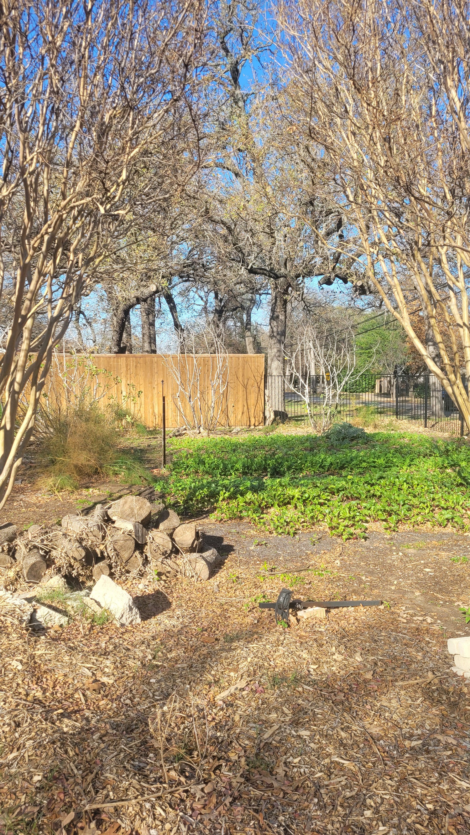Workshops - Lawn to Farm Braga Farms