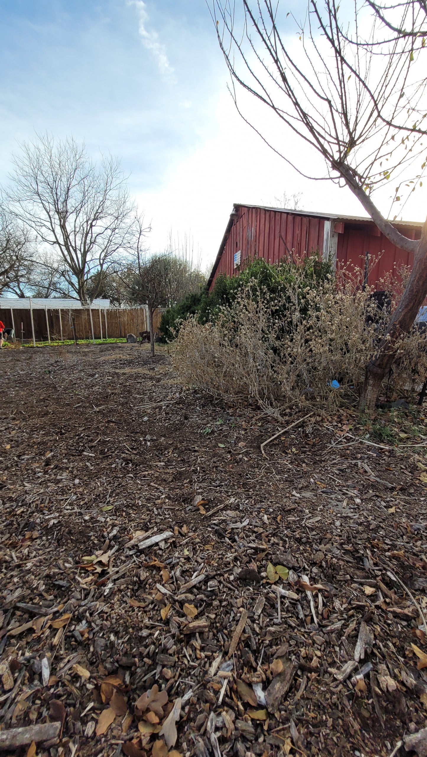 Workshops - Lawn to Farm Braga Farms