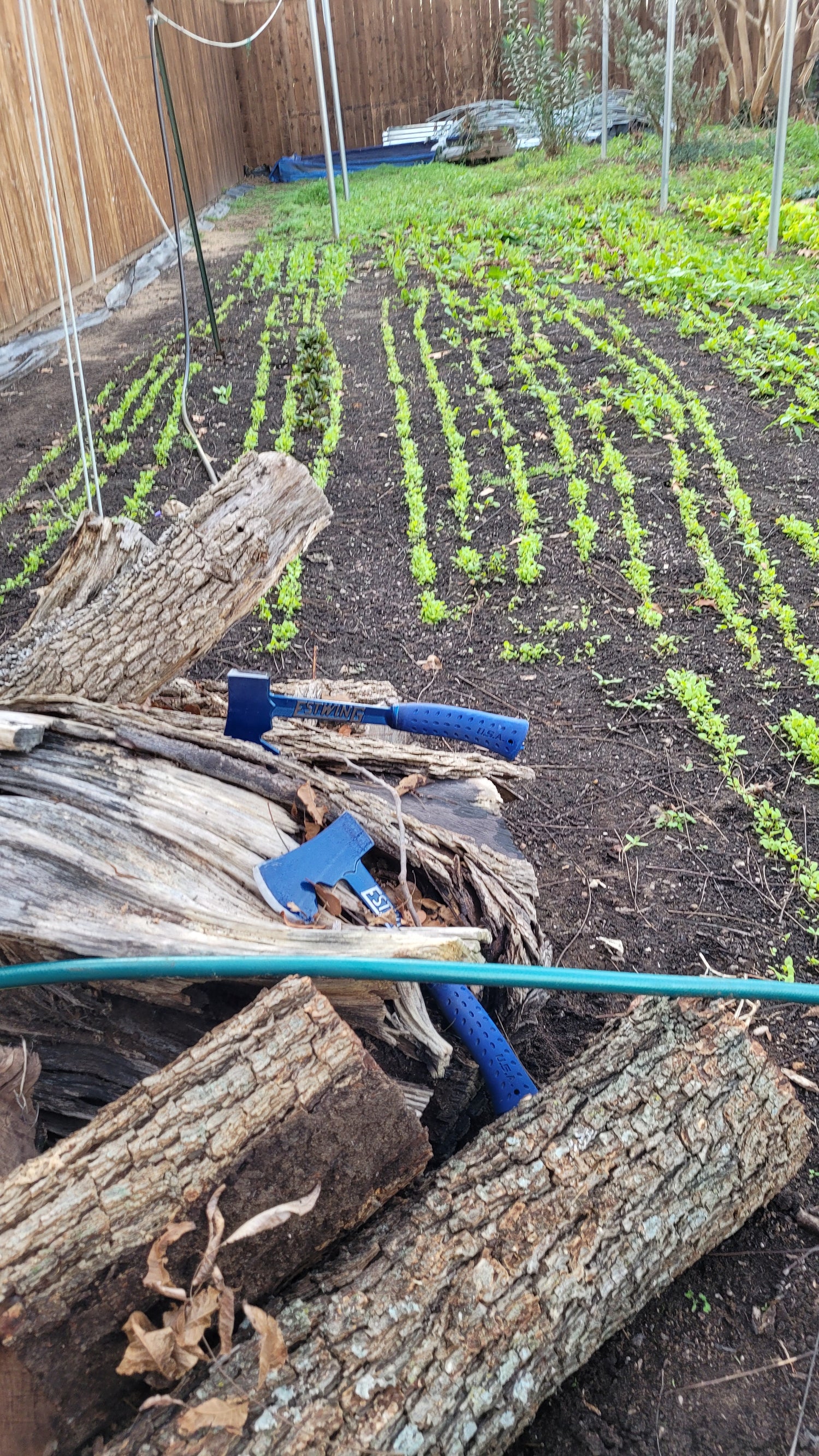 Workshops - Lawn to Farm Braga Farms