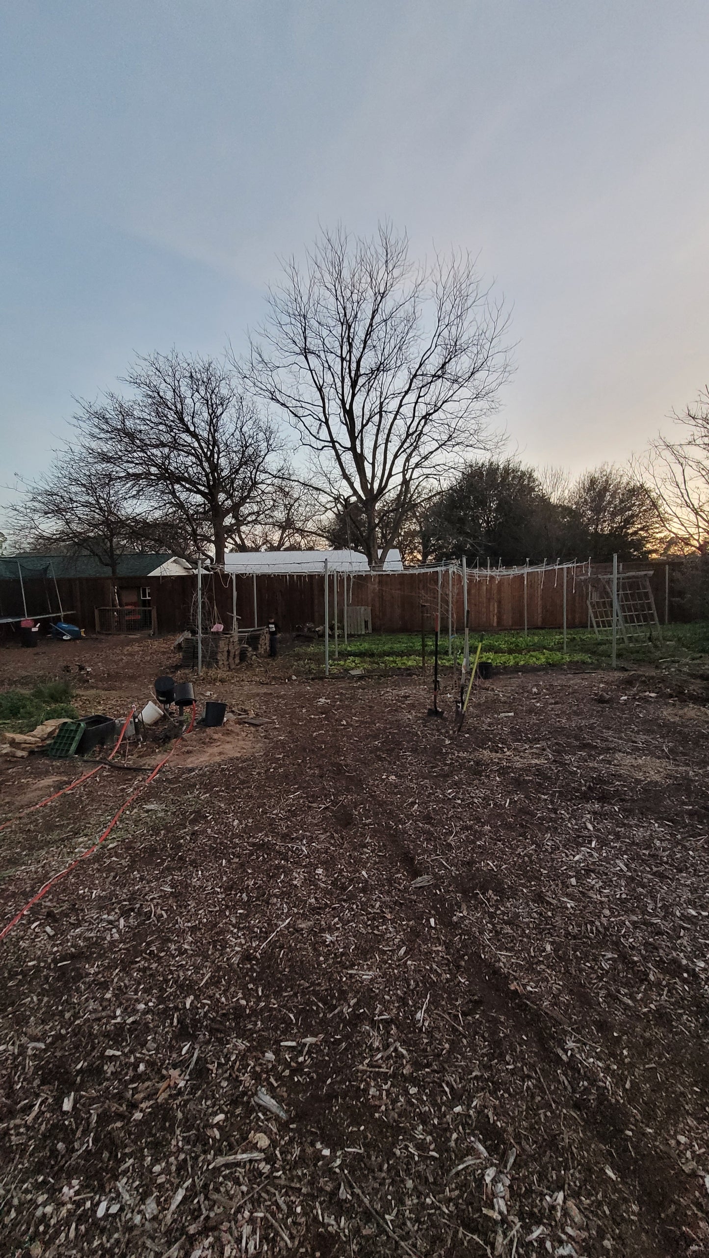 Workshops - Lawn to Farm Braga Farms