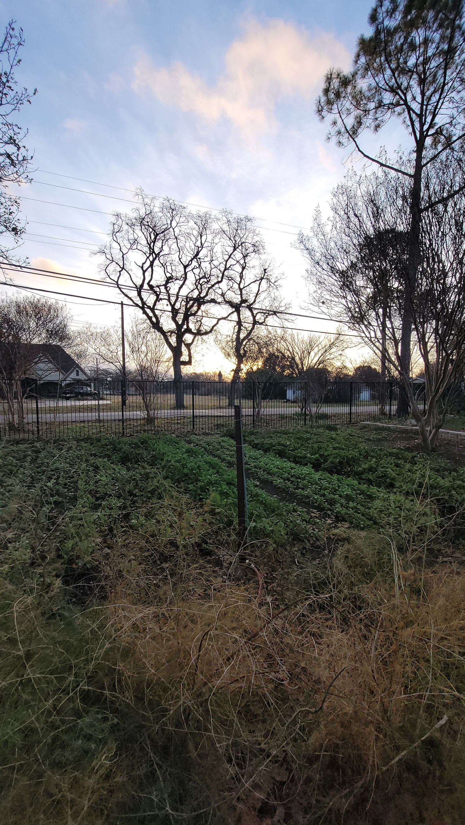 Workshops - Lawn to Farm Braga Farms