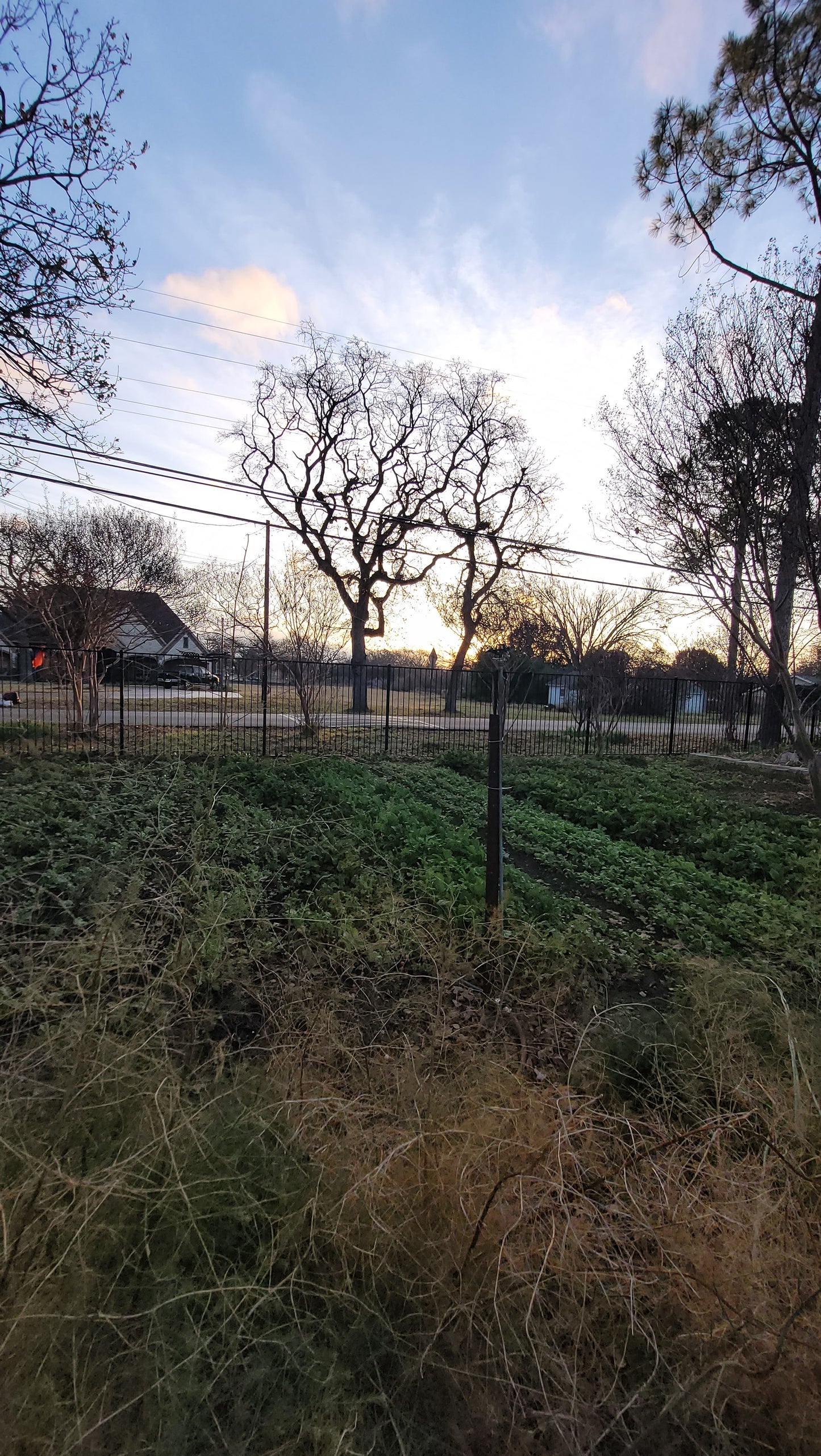 Workshops - Lawn to Farm Braga Farms